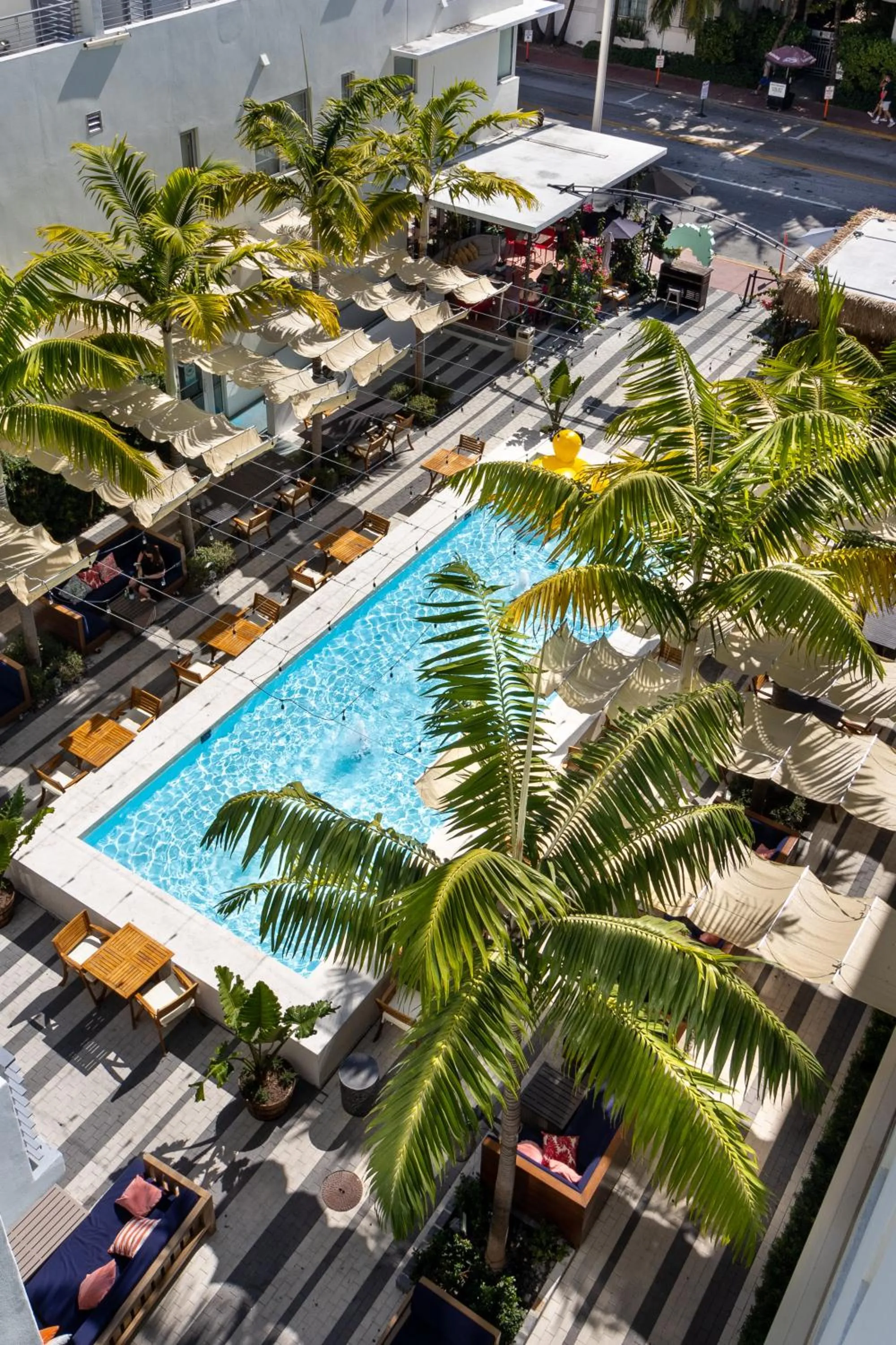 Bird's eye view in The Fairwind Hotel