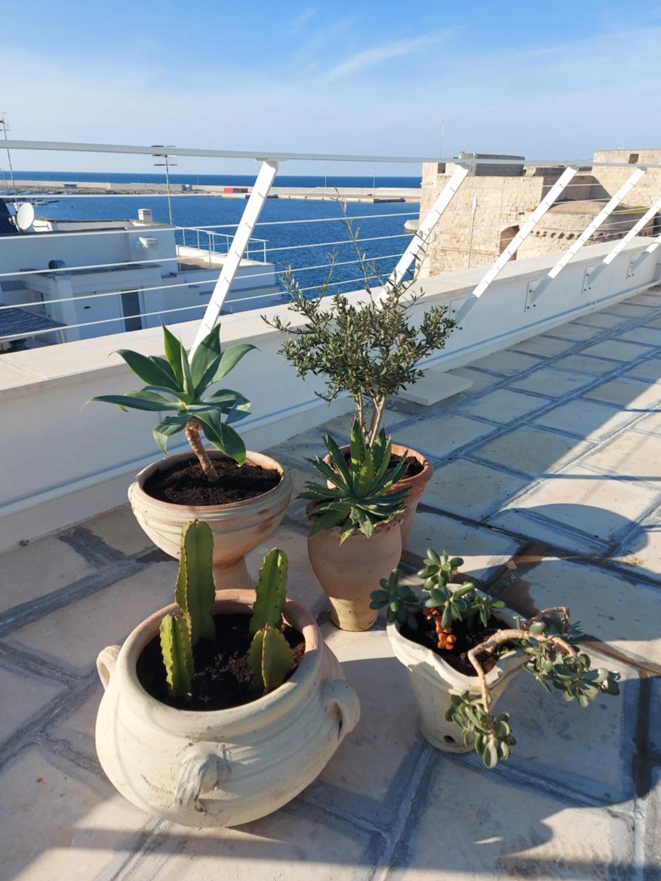 Balcony/Terrace in Orazio33 b&b