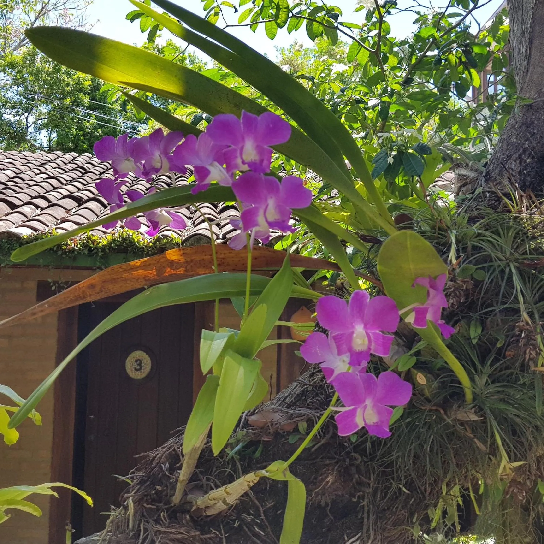 On site in Pousada Bucaneiros