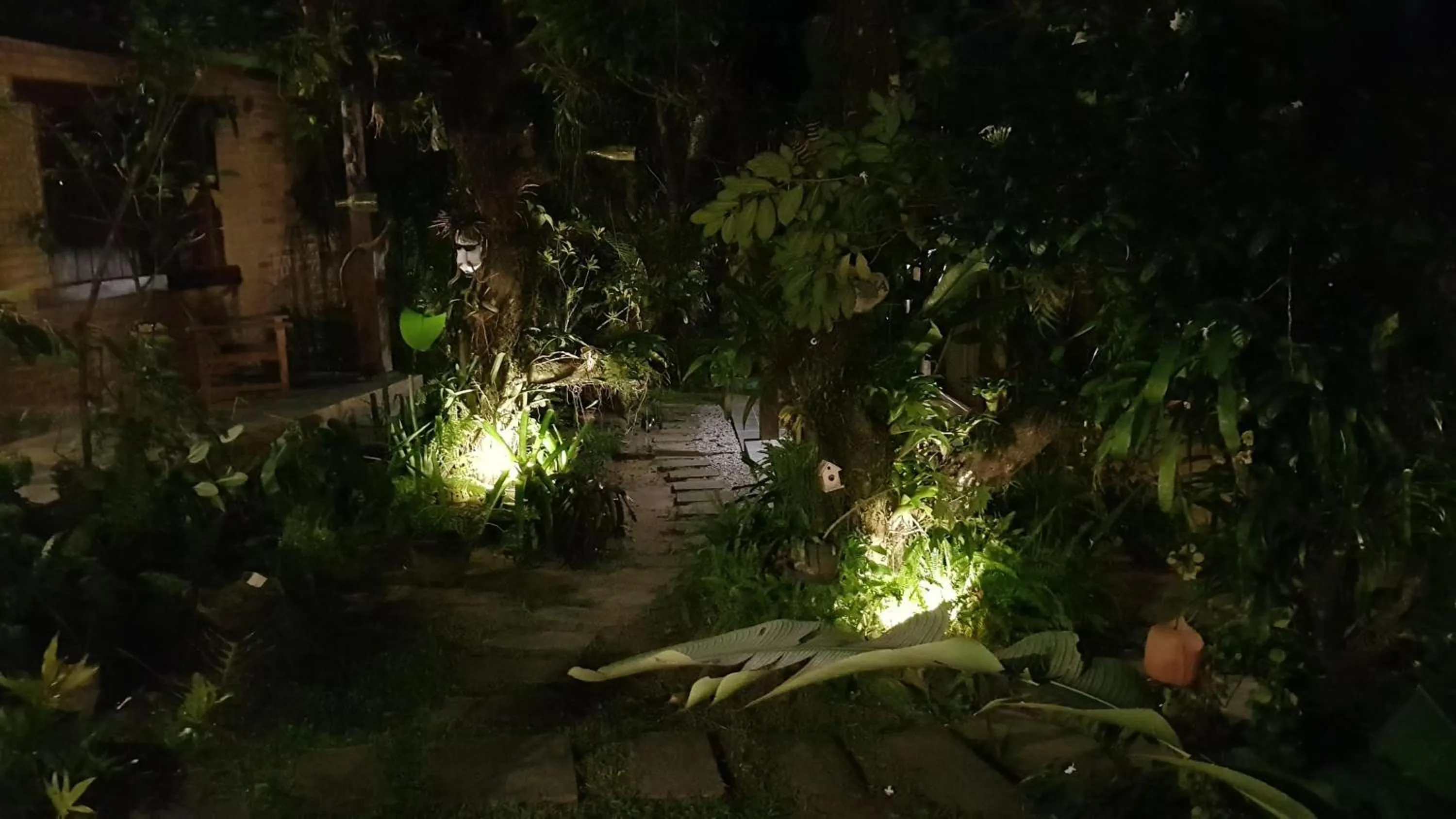 Garden in Pousada Bucaneiros