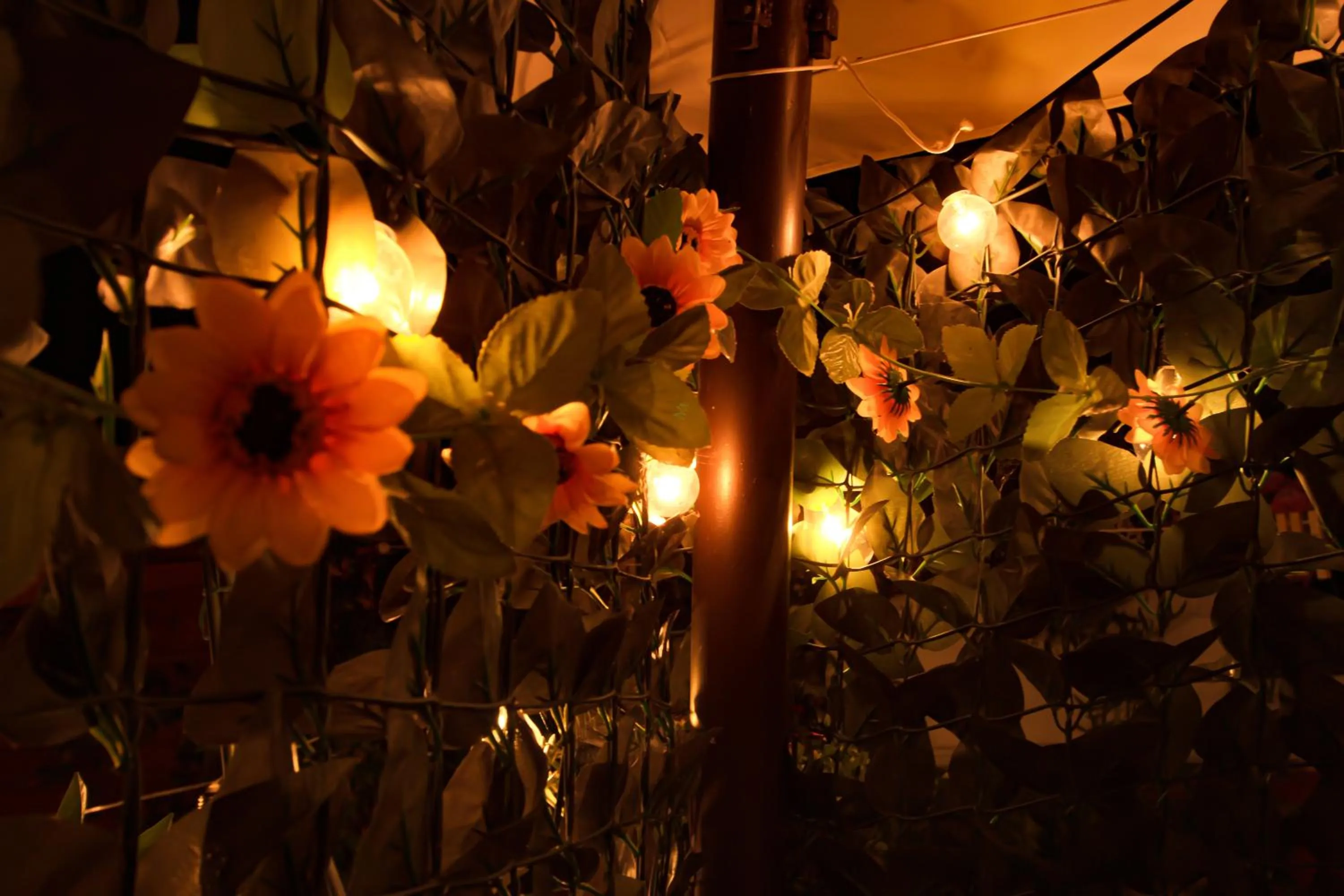 Night in Eden Lilli B&B