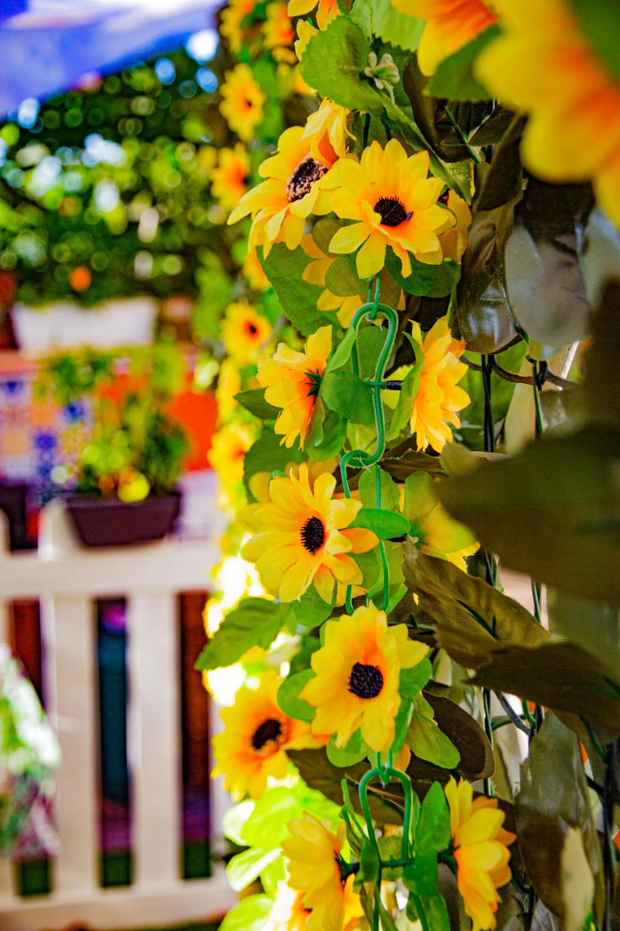 Day in Eden Lilli B&B