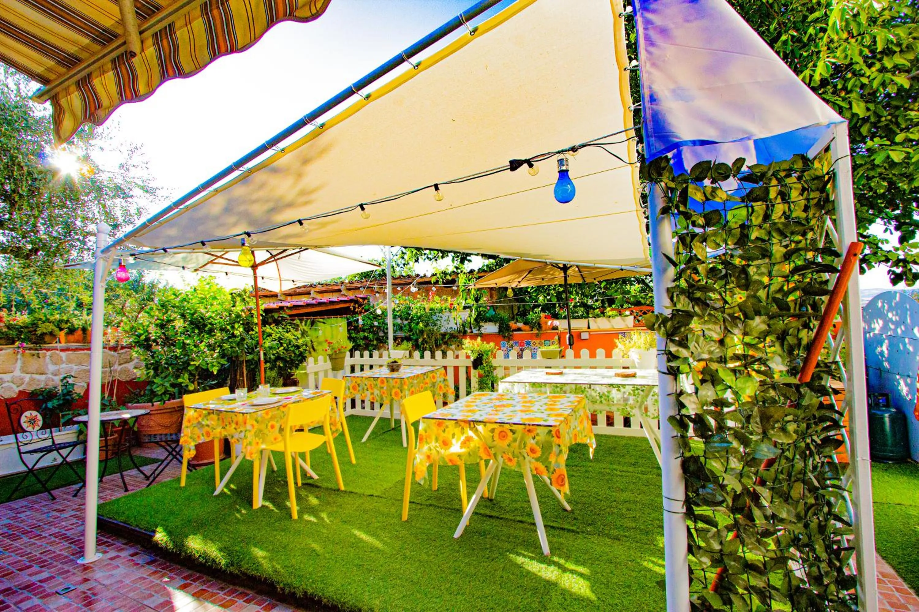 Restaurant/places to eat in Eden Lilli B&B