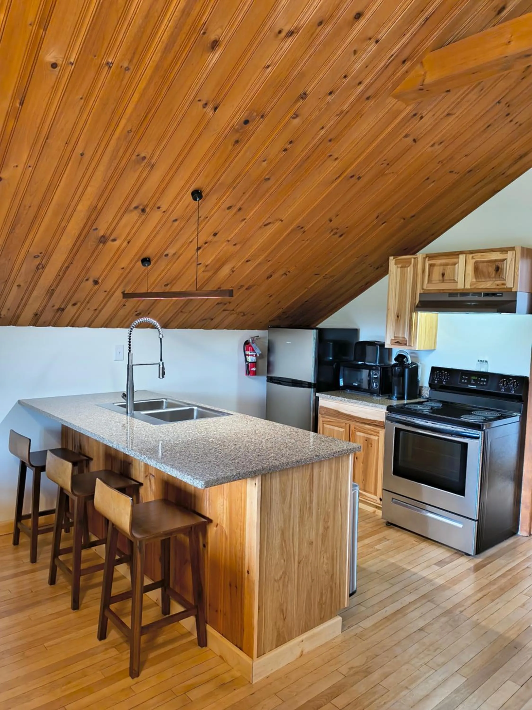 Kitchen or kitchenette in Sara Placid Inn & Suites
