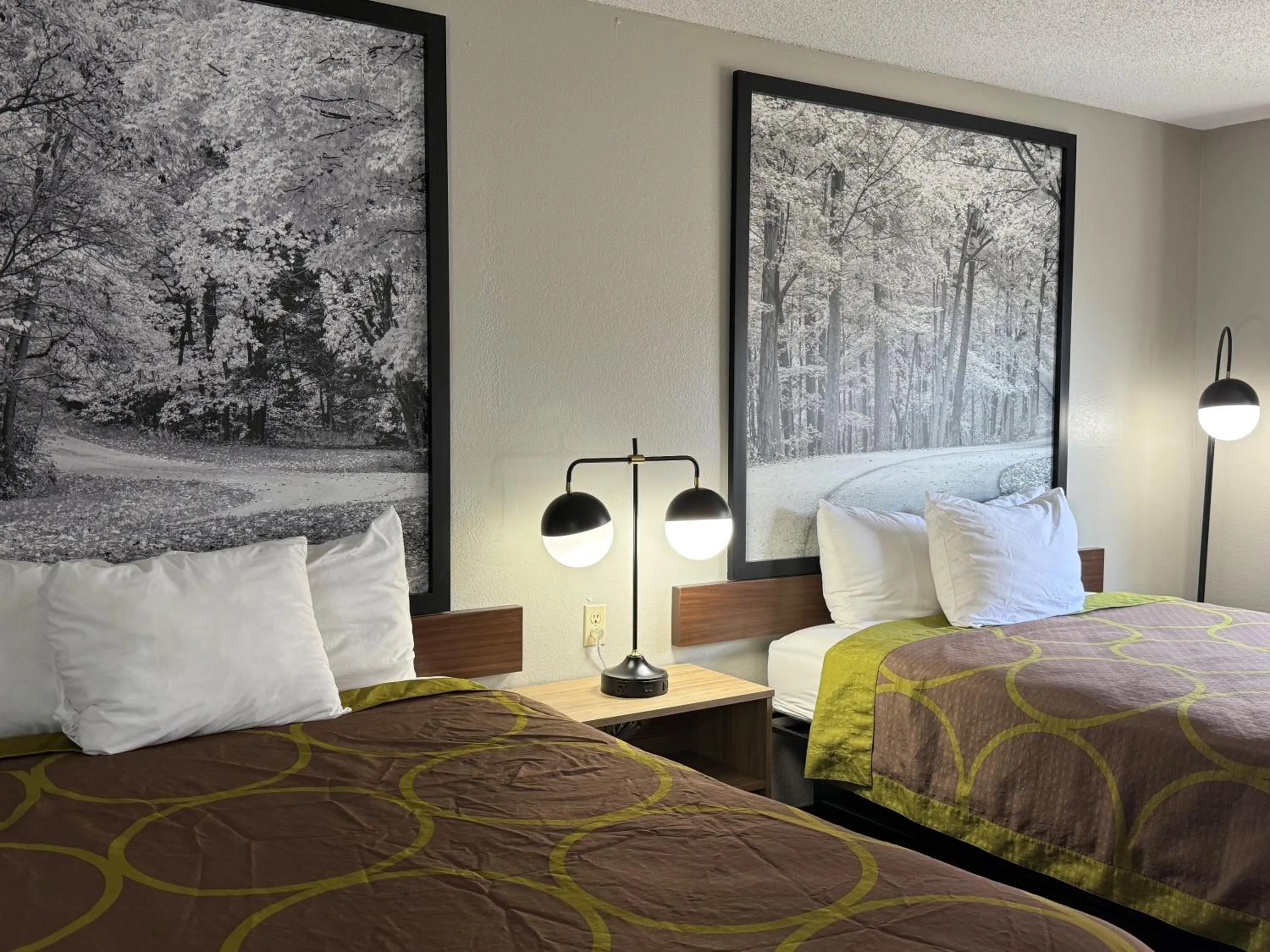 Guests, Bed in Super 8 by Wyndham Evansville East