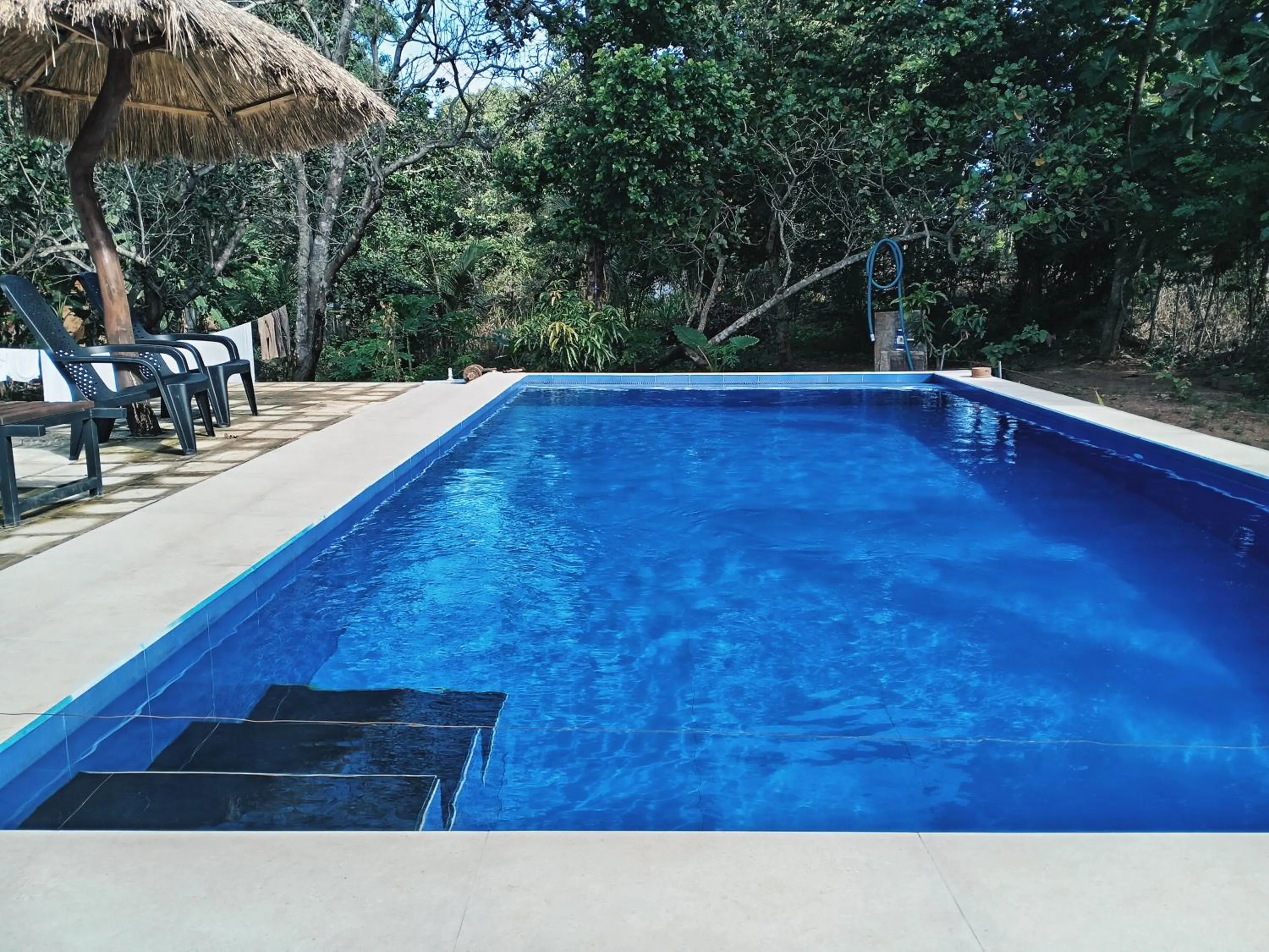 Swimming pool in Sigiri Mango Garden Eco Resort