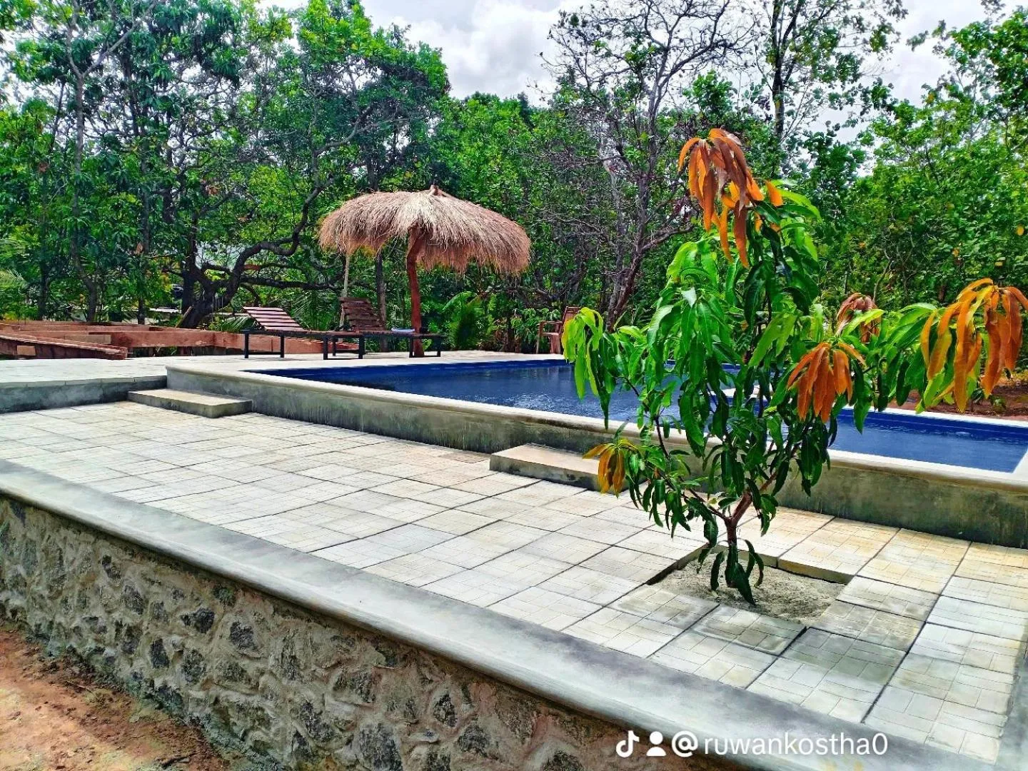 Pool view in Sigiri Mango Garden Eco Resort