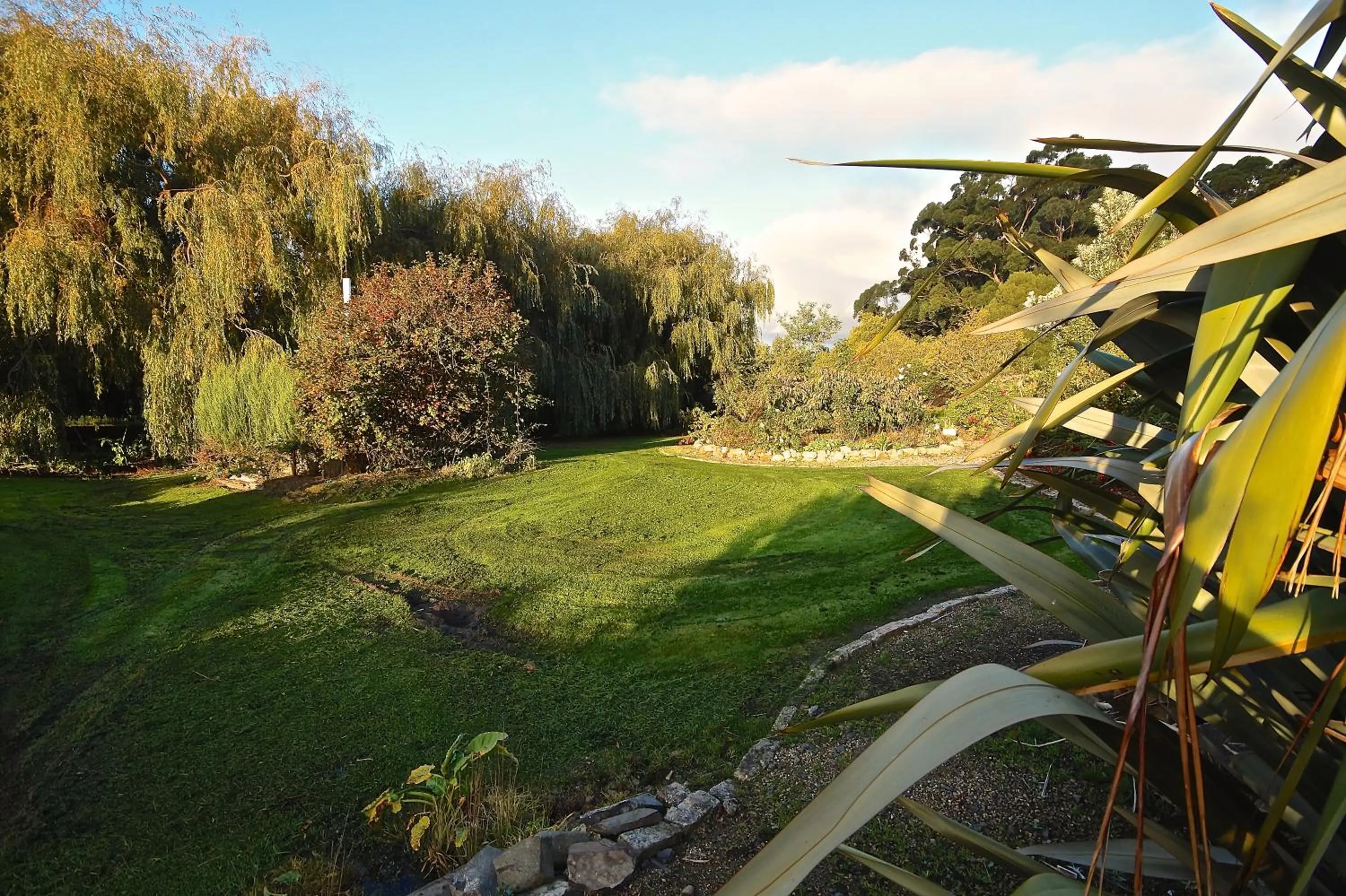Garden in Port Arthur Villas