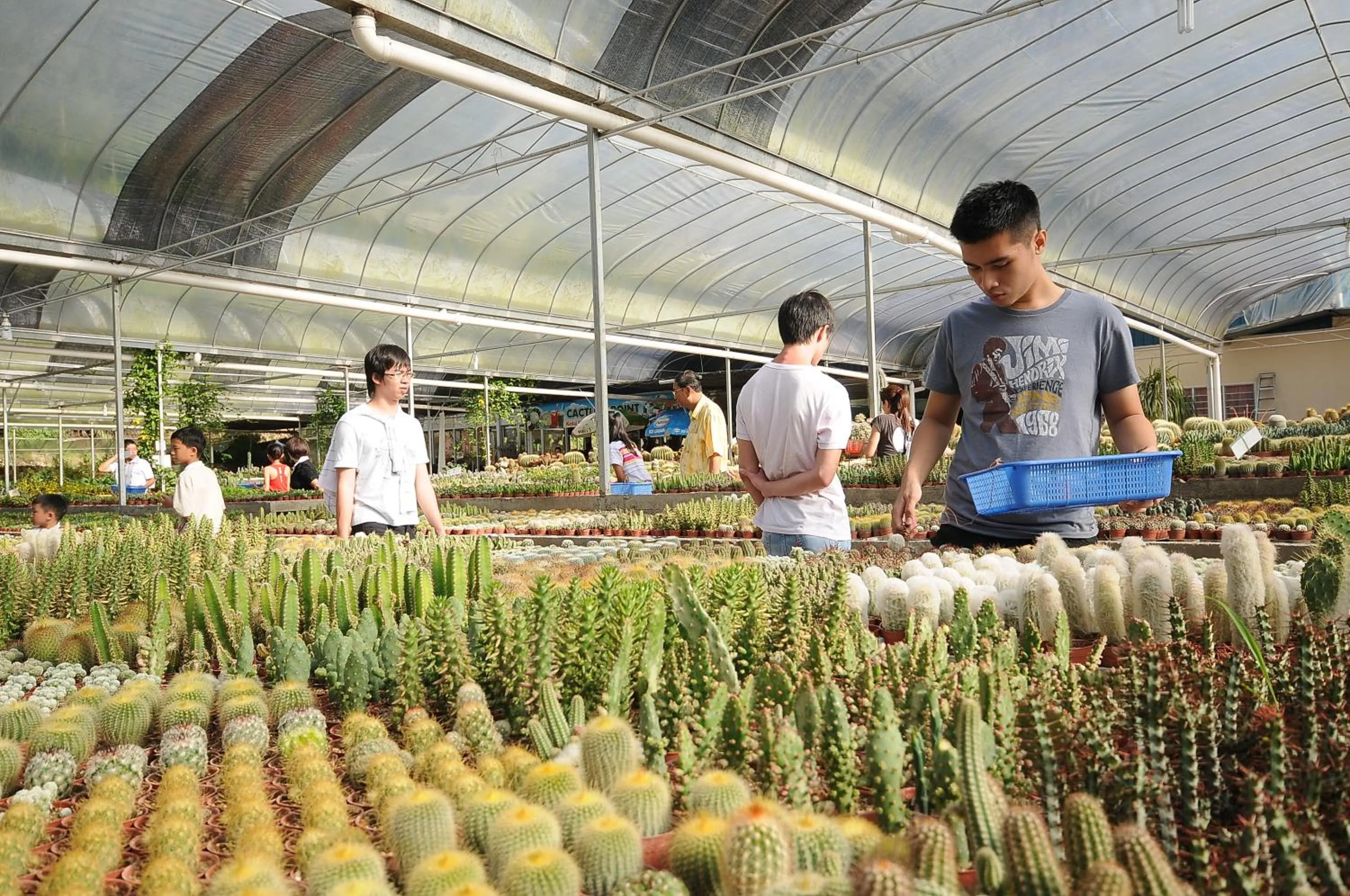 Nearby landmark in Zarania Hillhomes Cameron Highlands