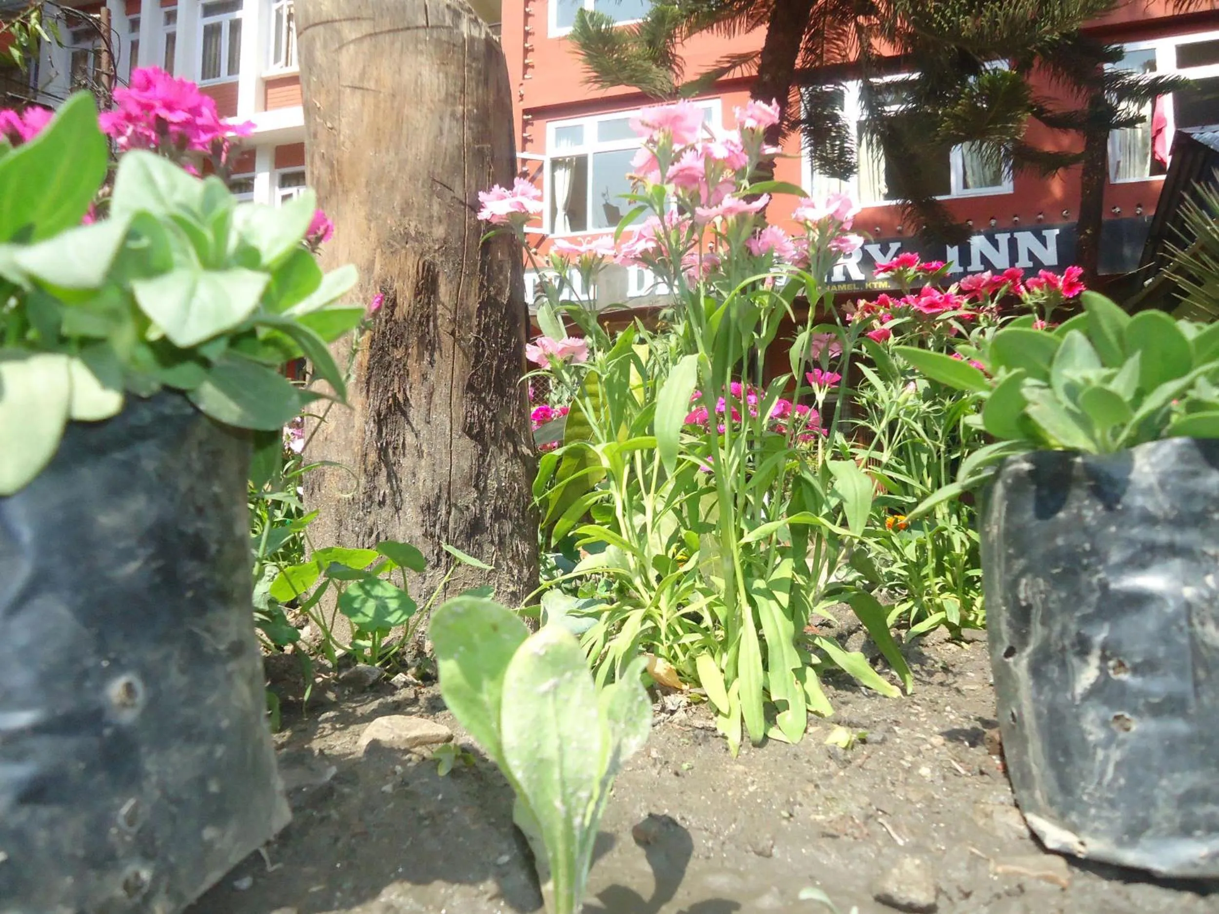 Other in Hotel Discovery Inn