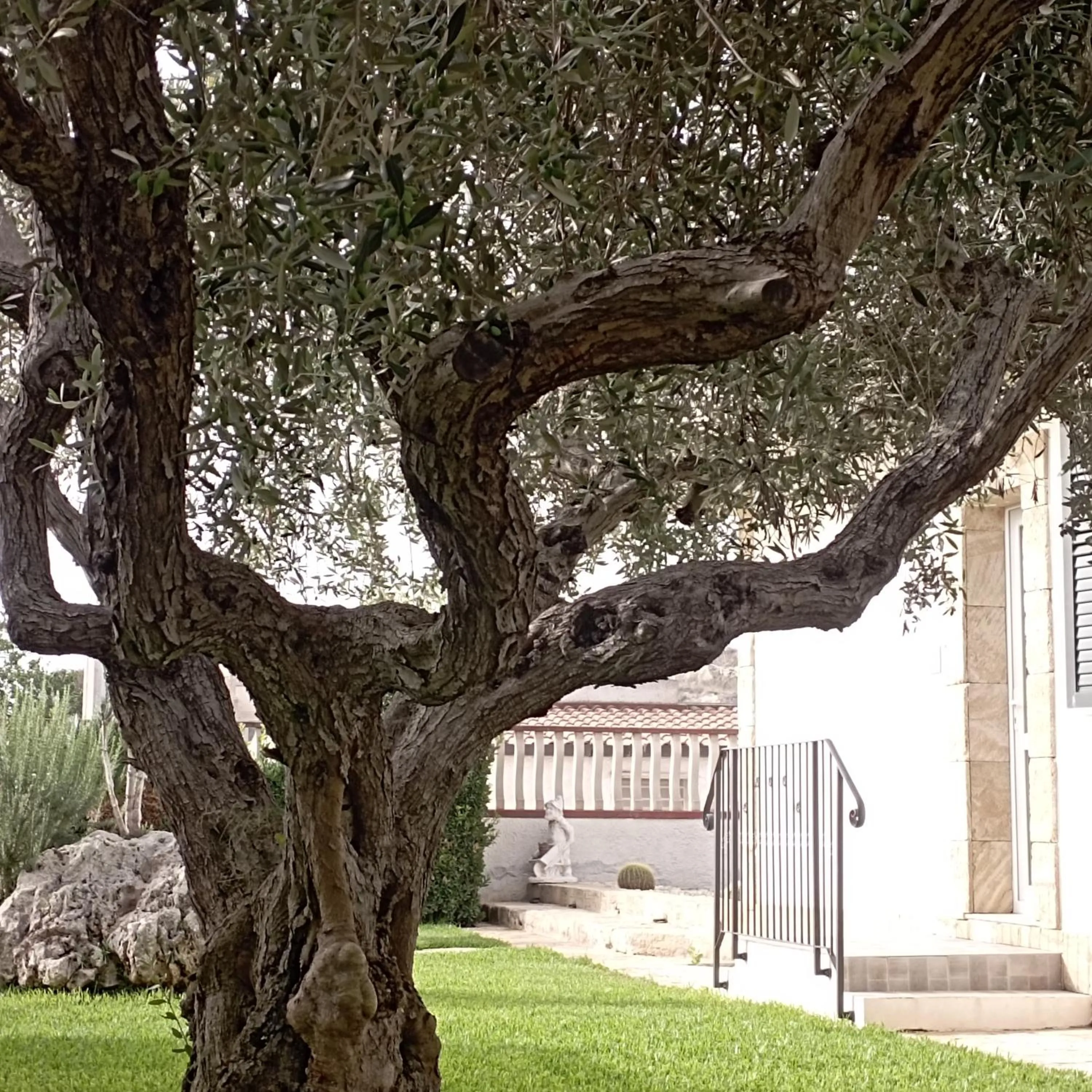 La casetta di viale Paradiso