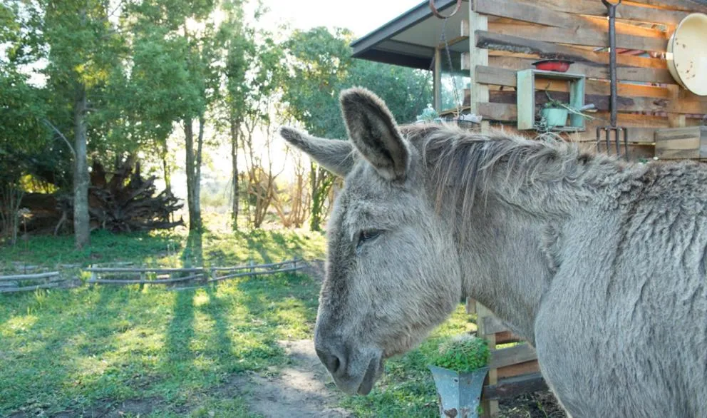 ECO Lodge Villa Villekula