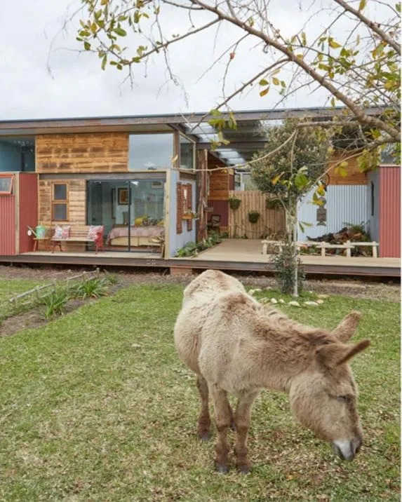 Animals in ECO Lodge Villa Villekula