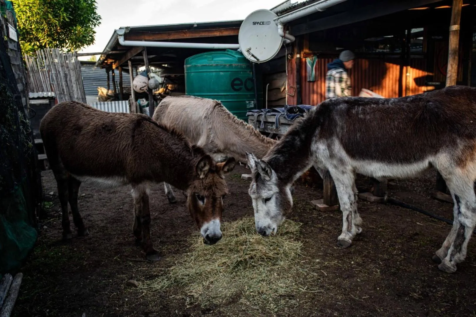 Day in ECO Lodge Villa Villekula