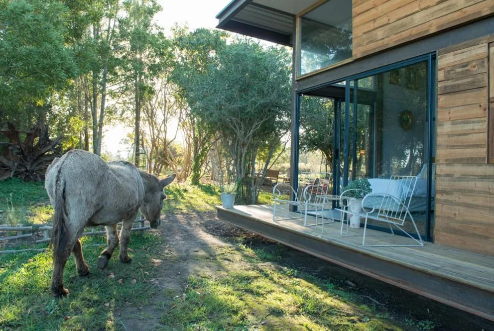 Property building in ECO Lodge Villa Villekula