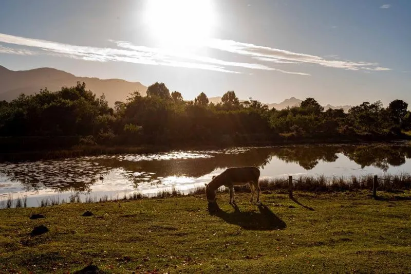 ECO Lodge Villa Villekula