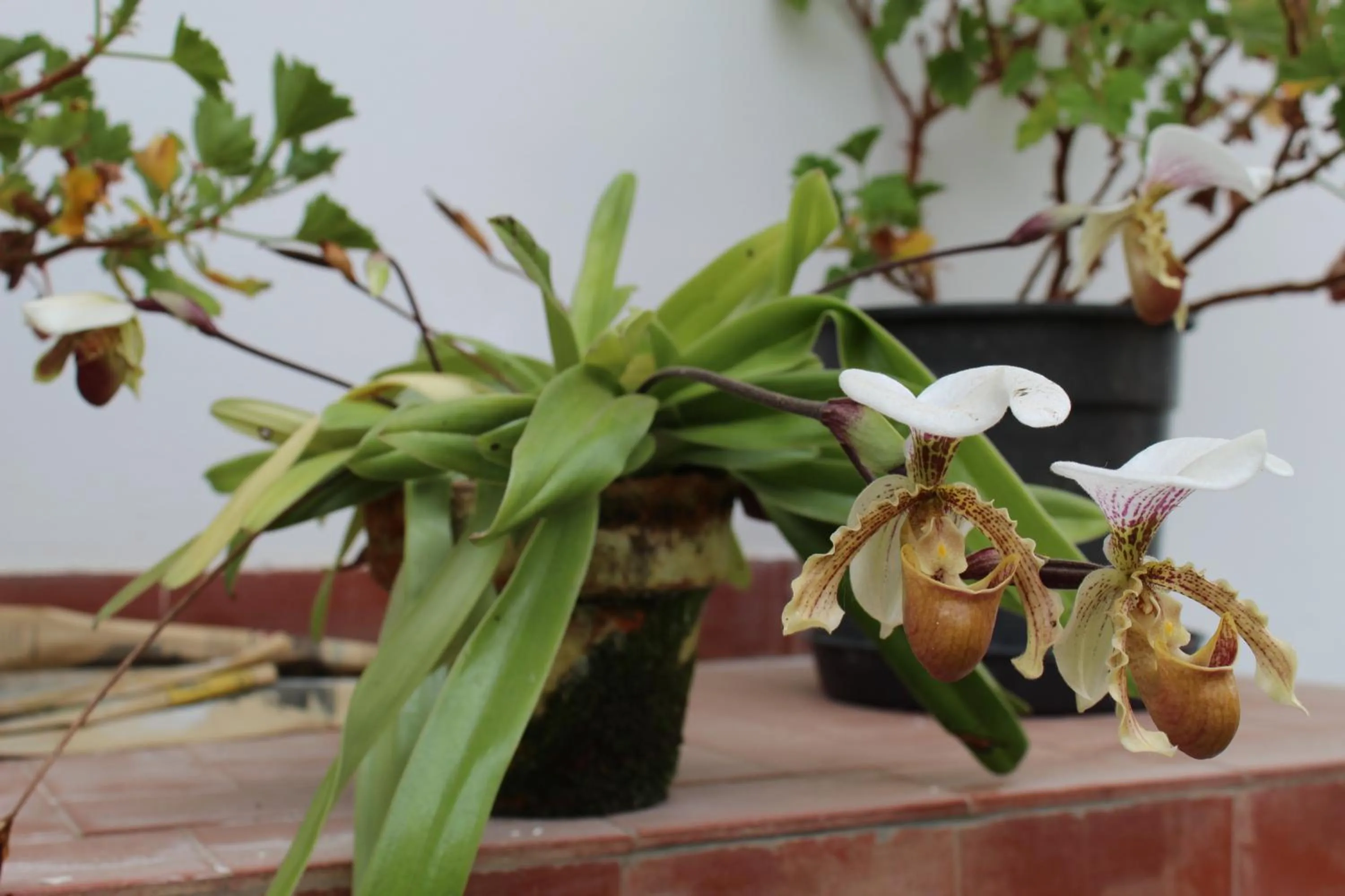 Casa Aconchegante no Capivari