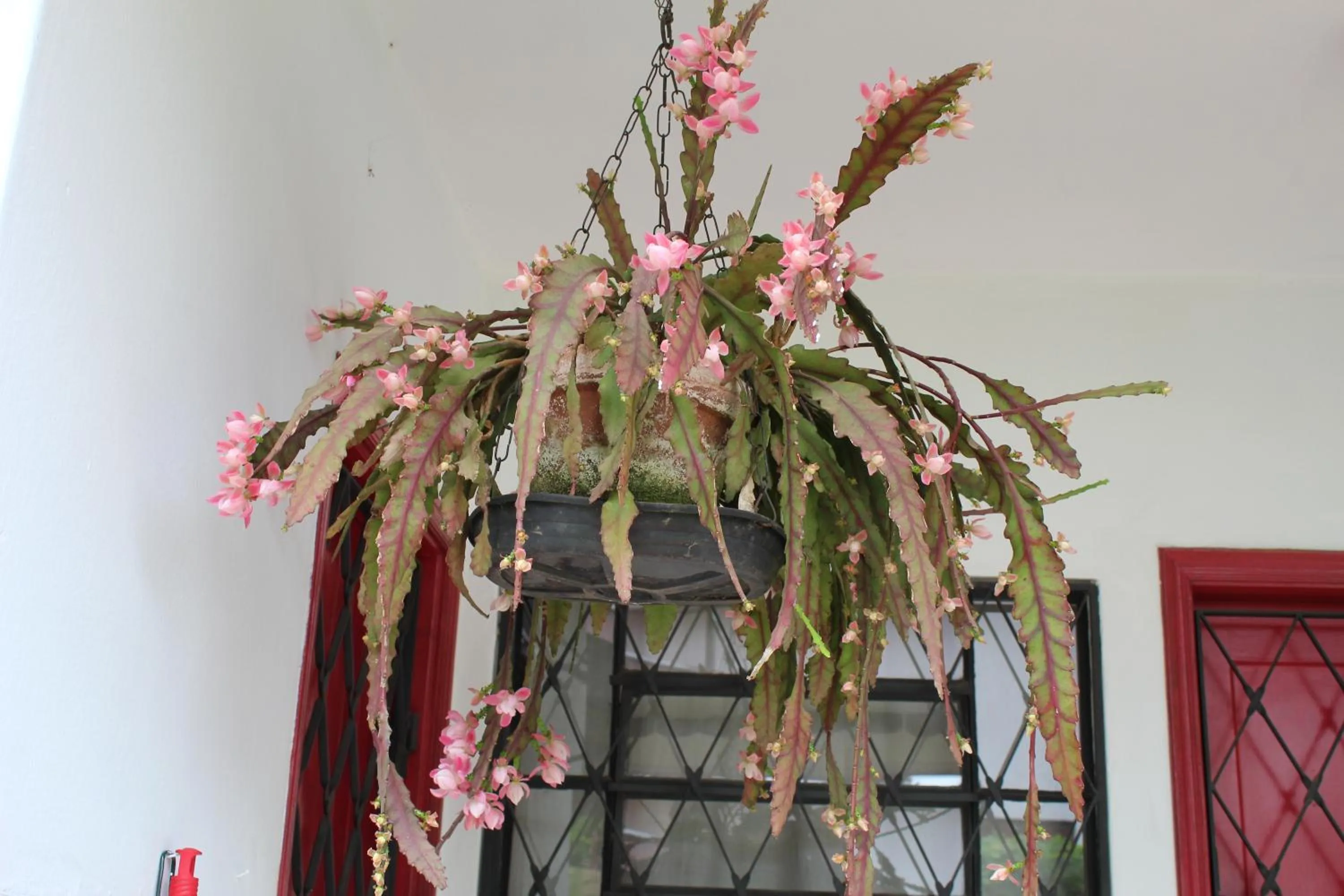 Casa Aconchegante no Capivari