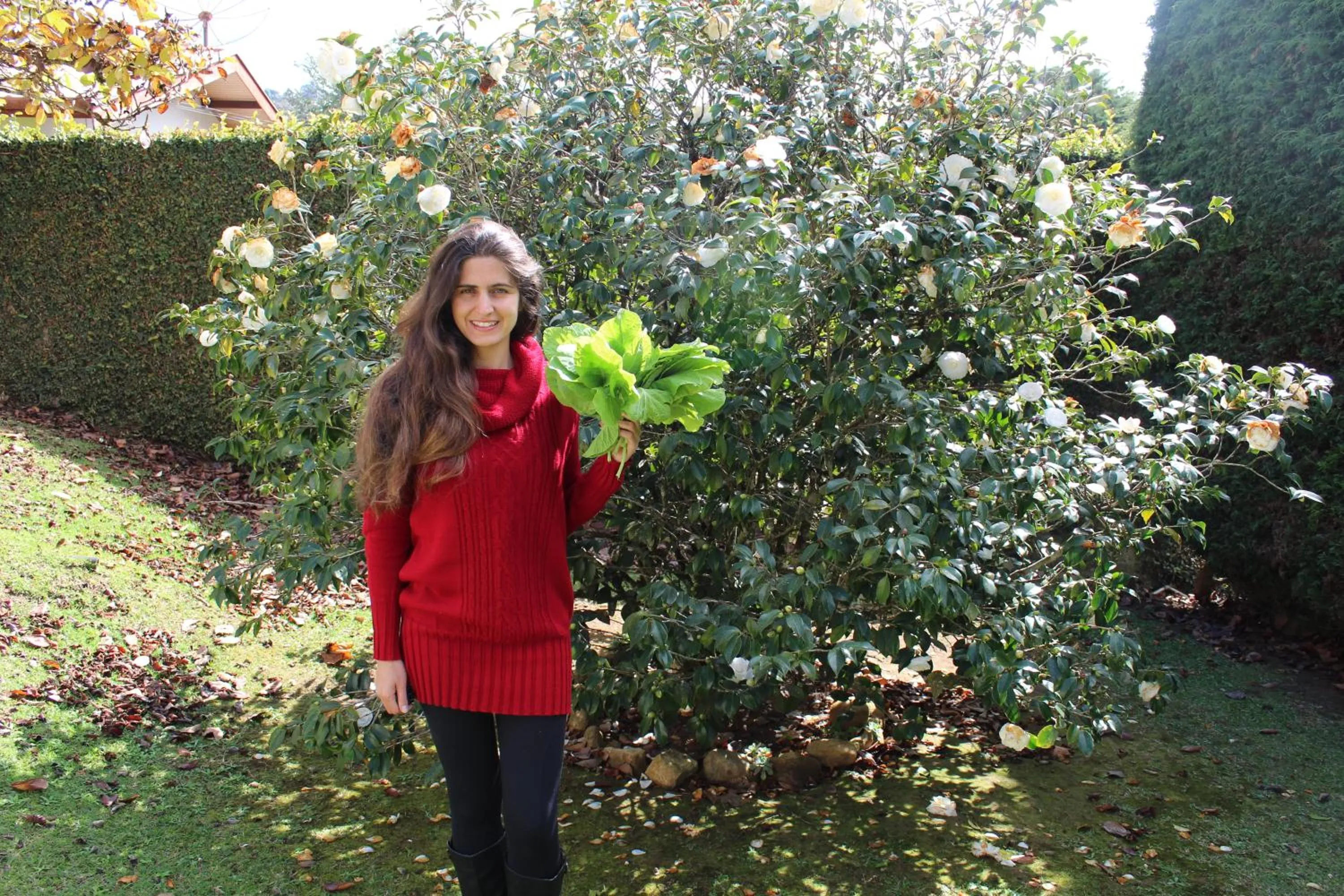 Garden in Casa Aconchegante no Capivari