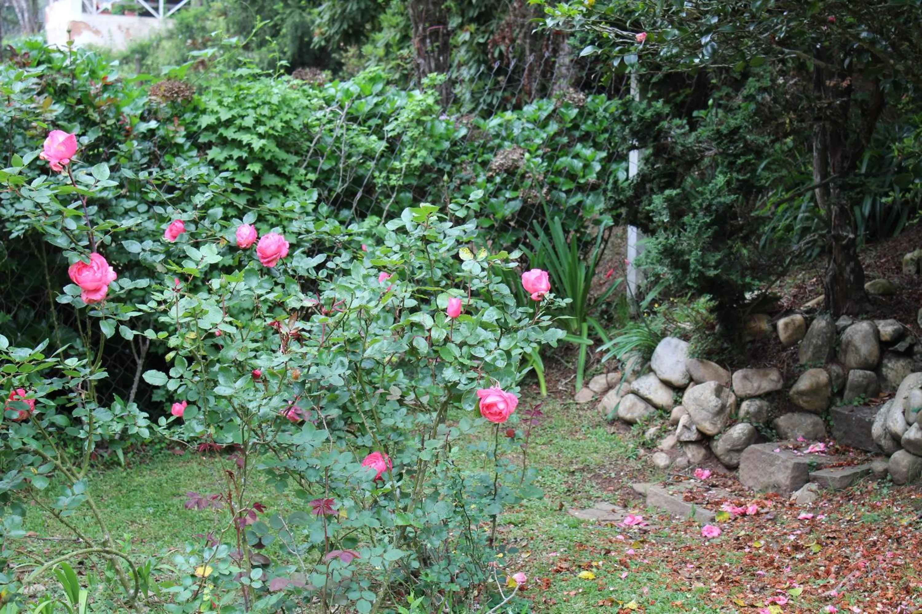 Casa Aconchegante no Capivari