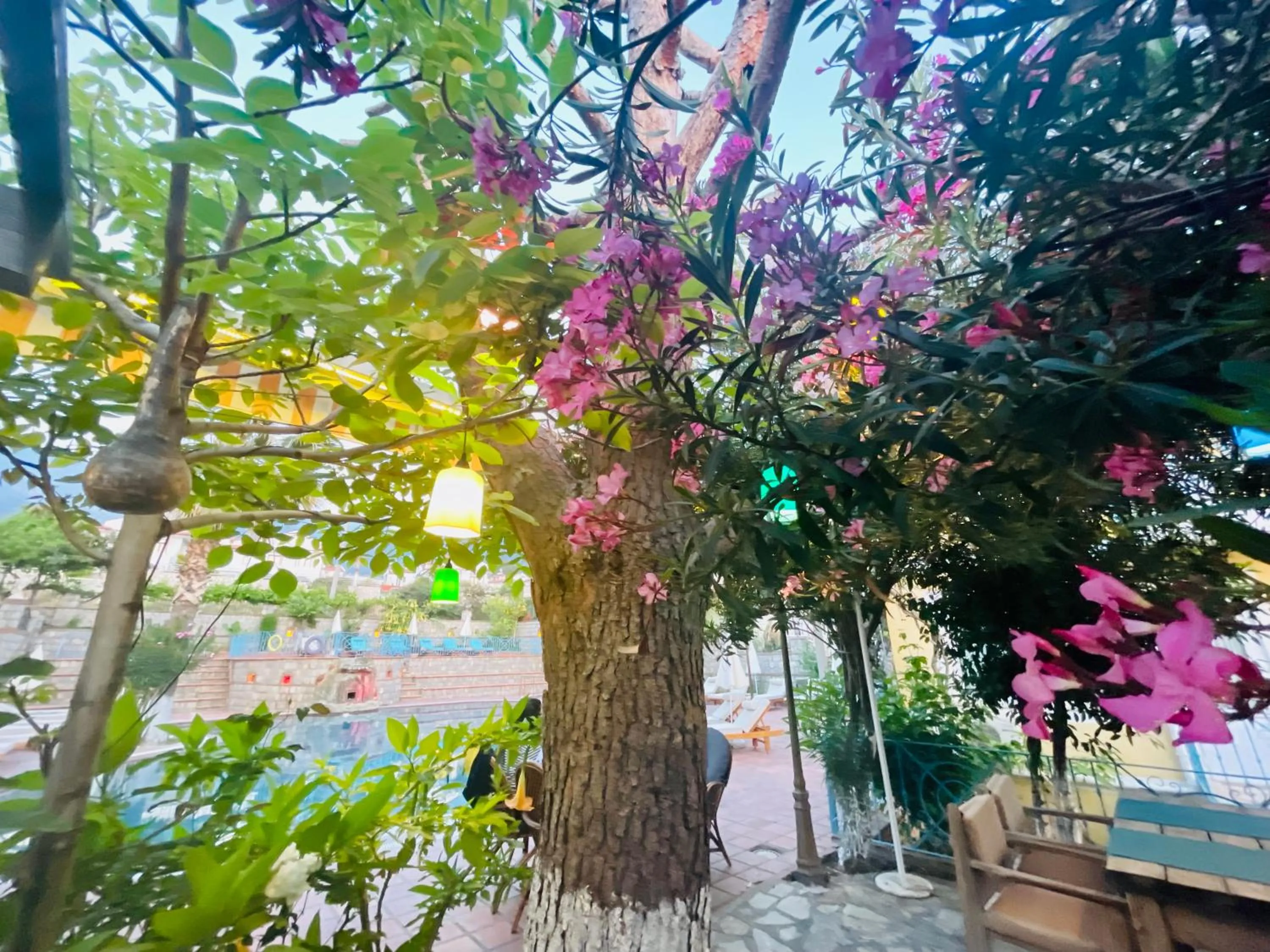 Garden in Mountain Valley Oludeniz