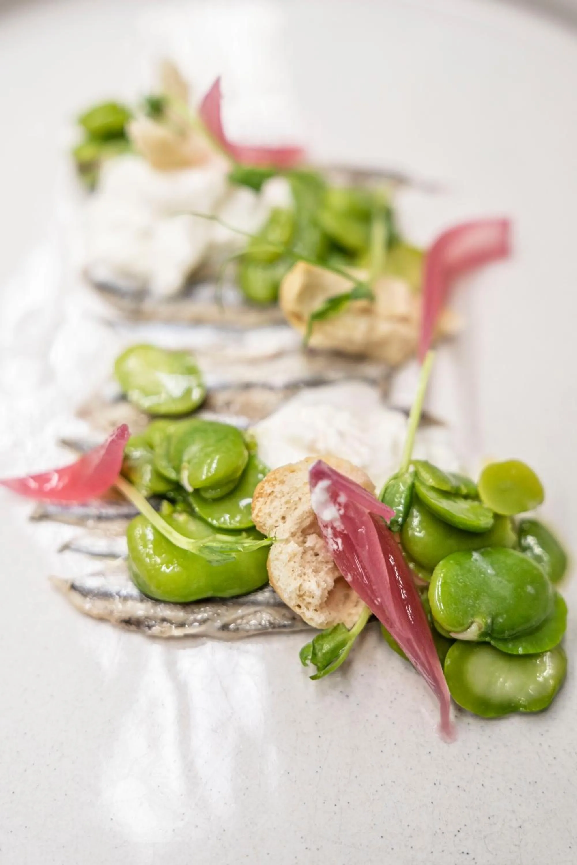 Restaurant/places to eat in Relais Il Mignano