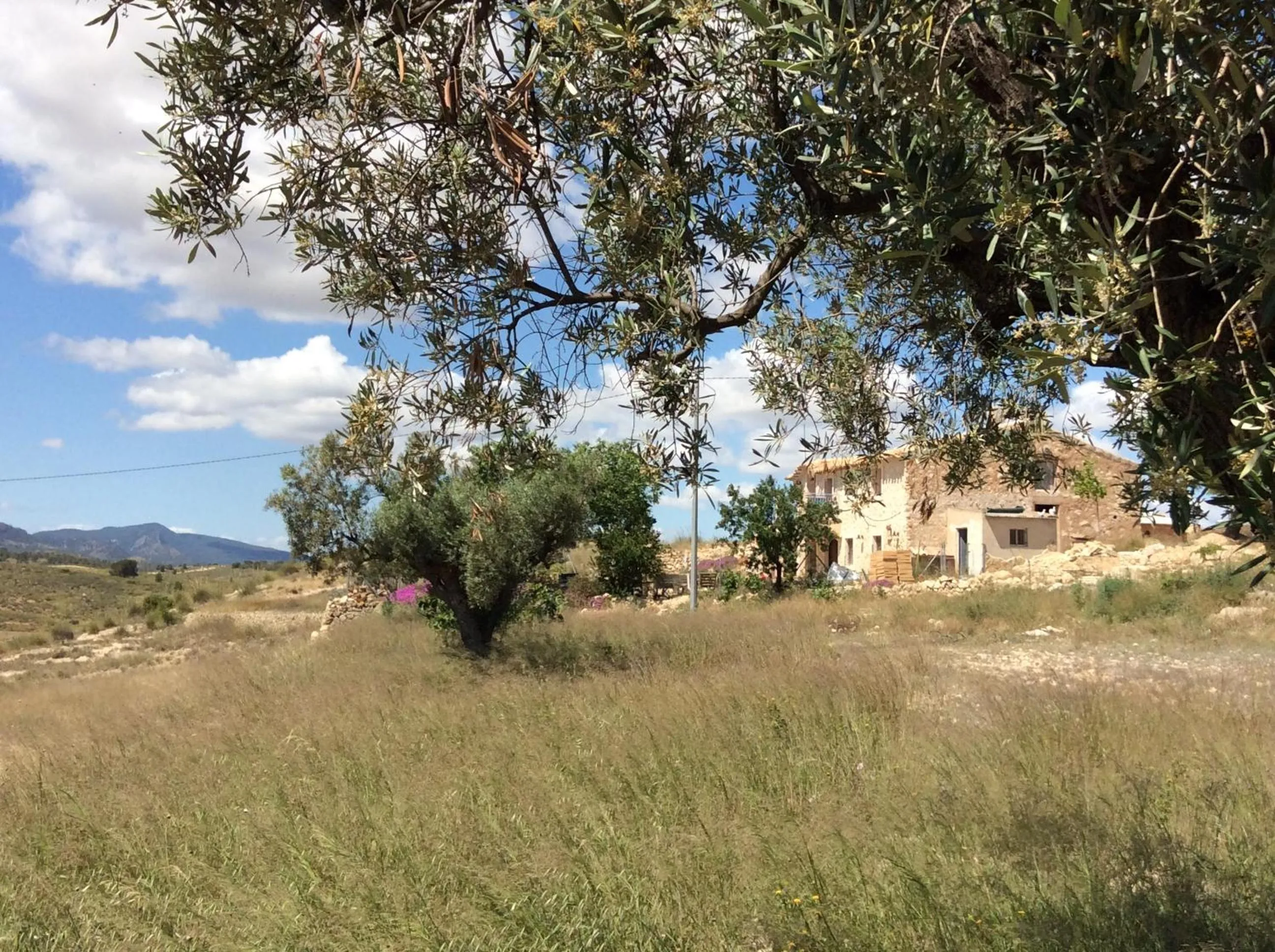 Facade/entrance in Los Cuatro Vientos B&B