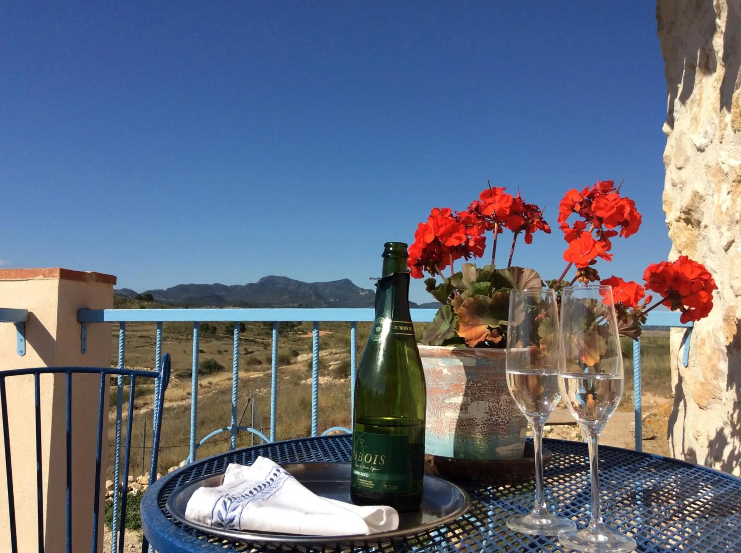 Alcoholic drinks in Los Cuatro Vientos B&B