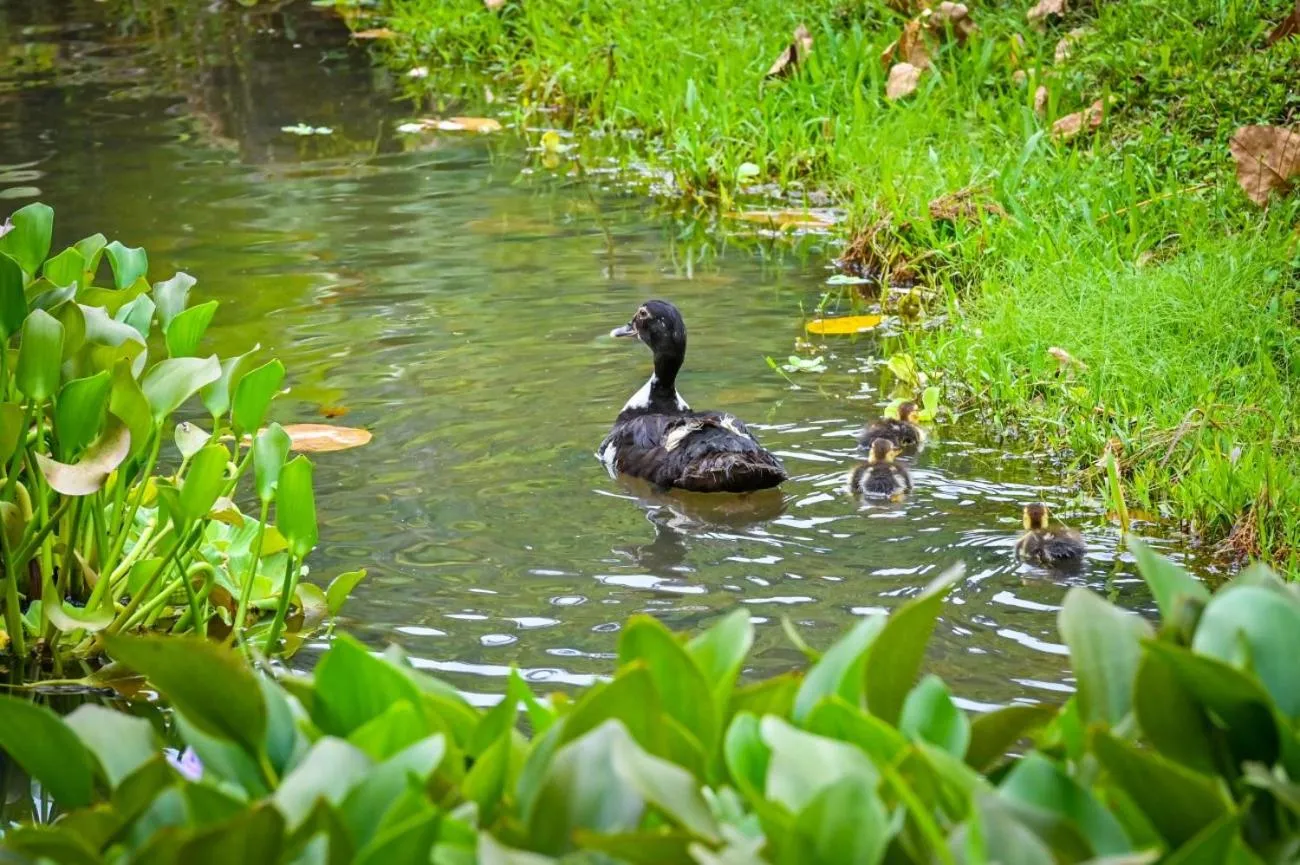 Lands in Love Hotel and Resort