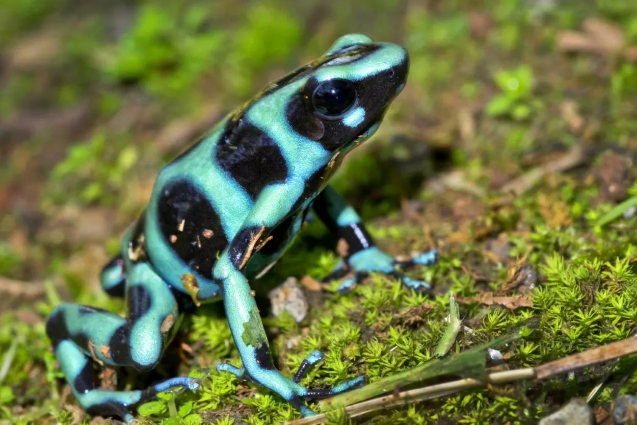 Lands in Love Hotel and Resort