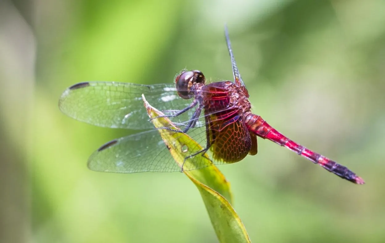 Lands in Love Hotel and Resort