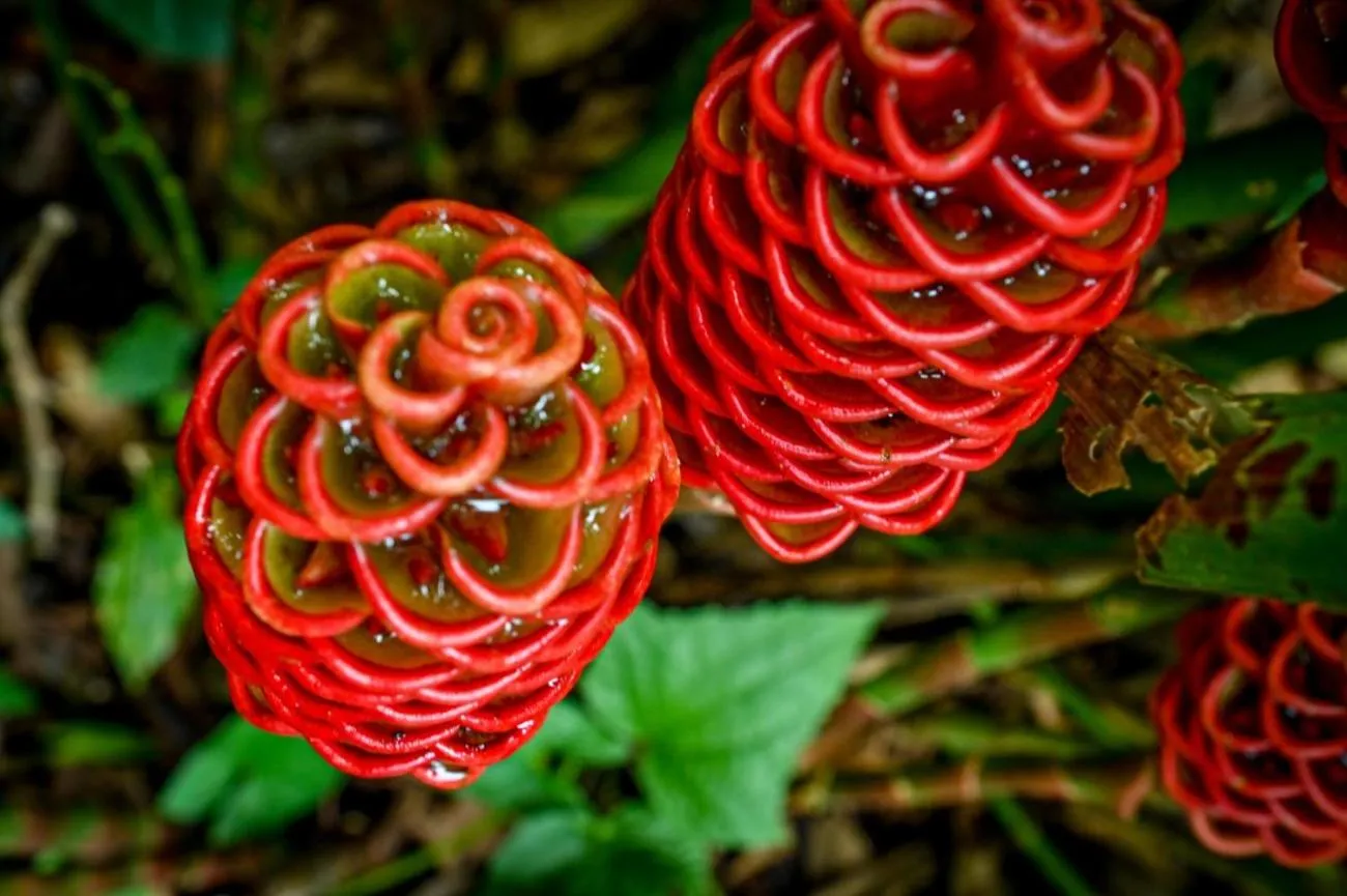 Lands in Love Hotel and Resort