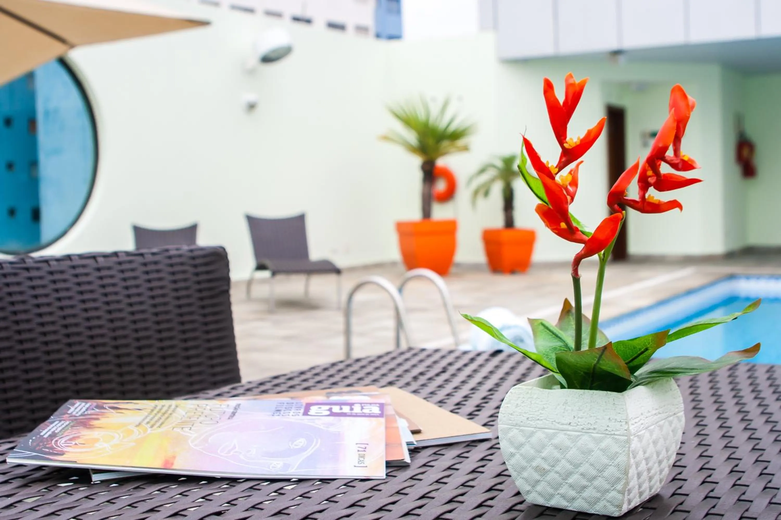 Balcony/Terrace in Leques Brasil Hotel Escola