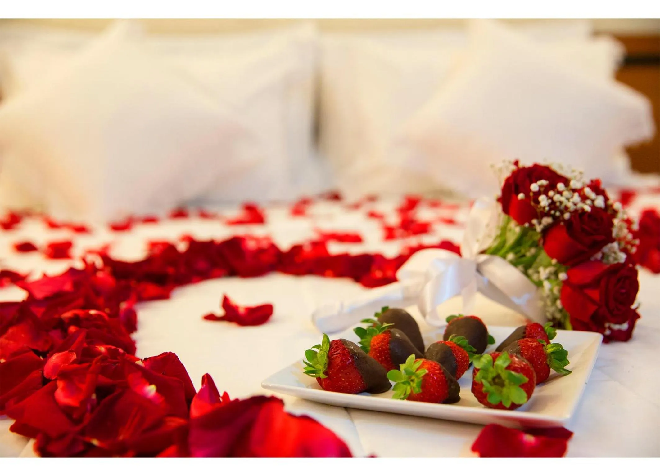 Bed in Leques Brasil Hotel Escola