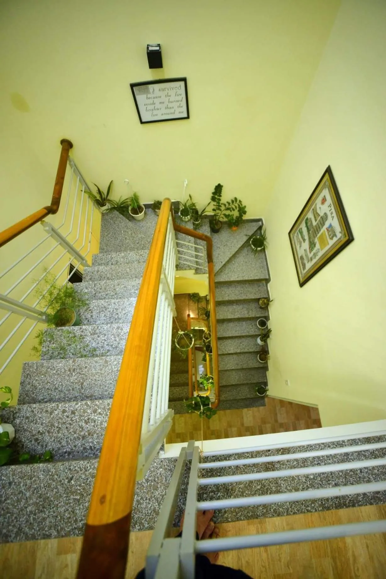 Decorative detail in Quy Nhon Homestay BnB