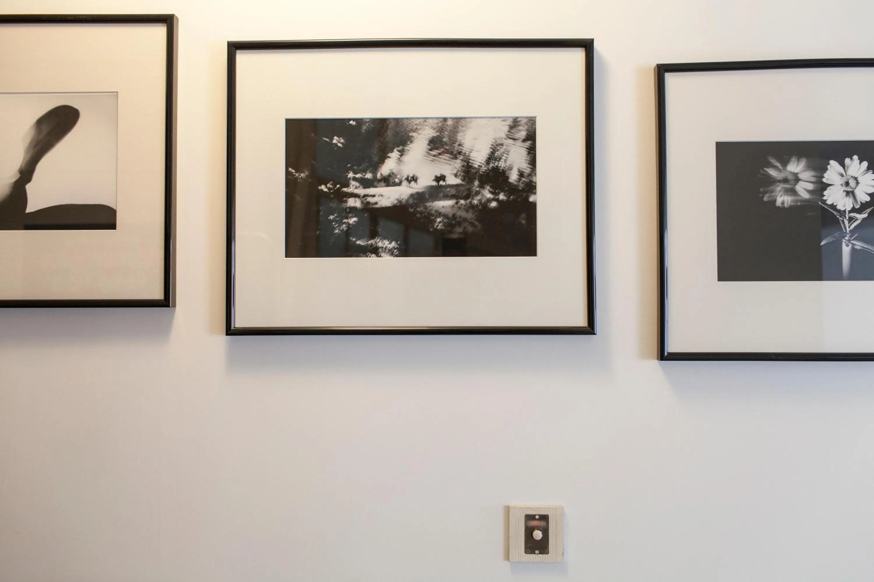 Decorative detail in 46FM : Montauban Guest House