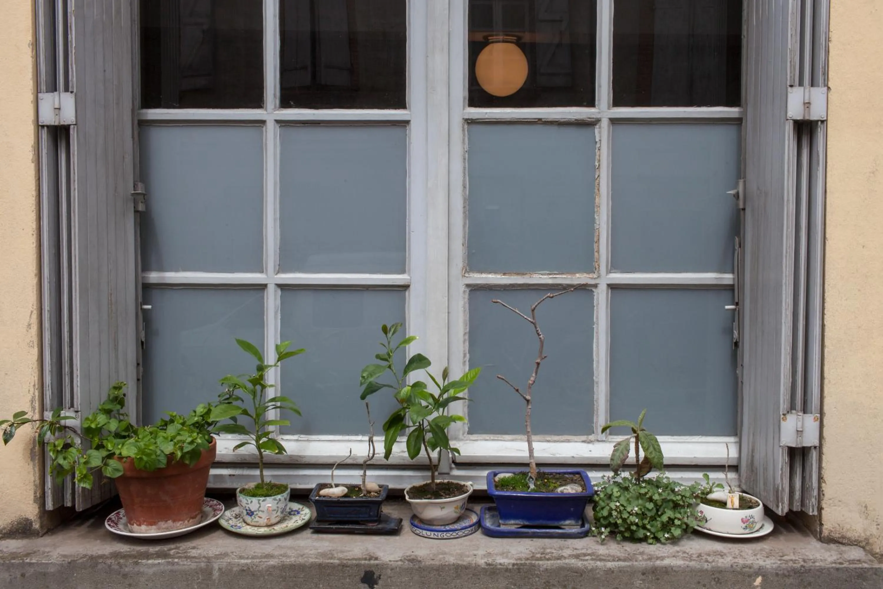 Facade/entrance in 46FM : Montauban Guest House