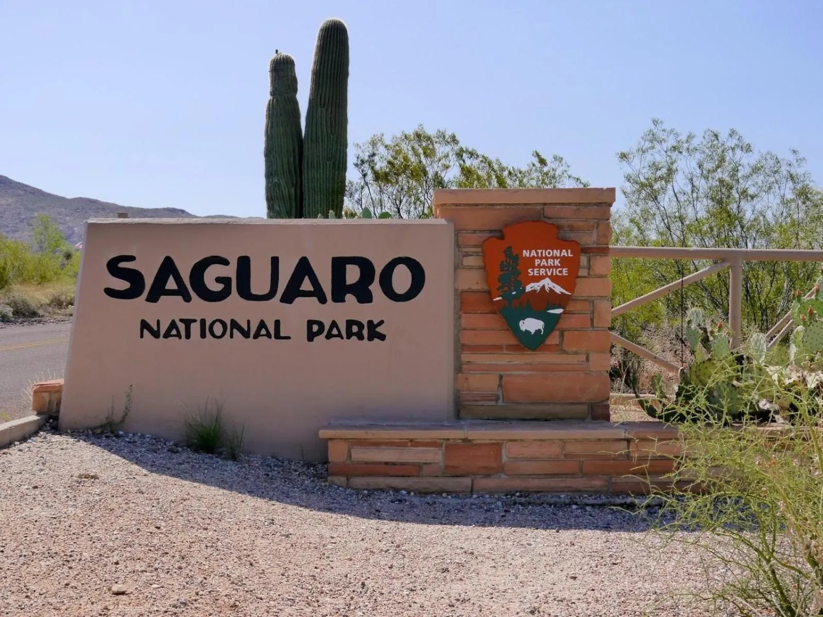 Horse-riding in Baymont by Wyndham Tucson Airport