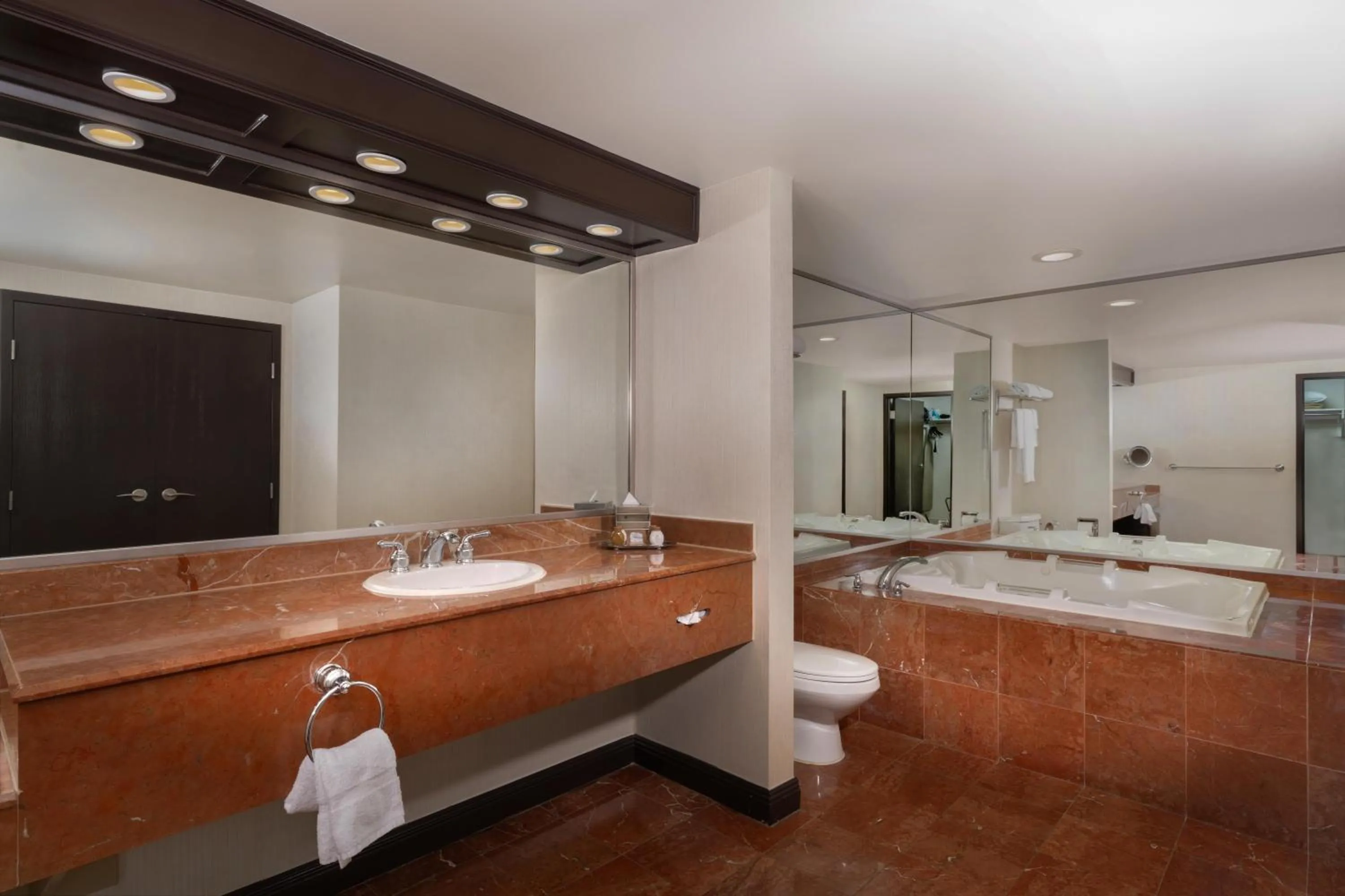 Bathroom in Treasure Island - TI Las Vegas Hotel & Casino