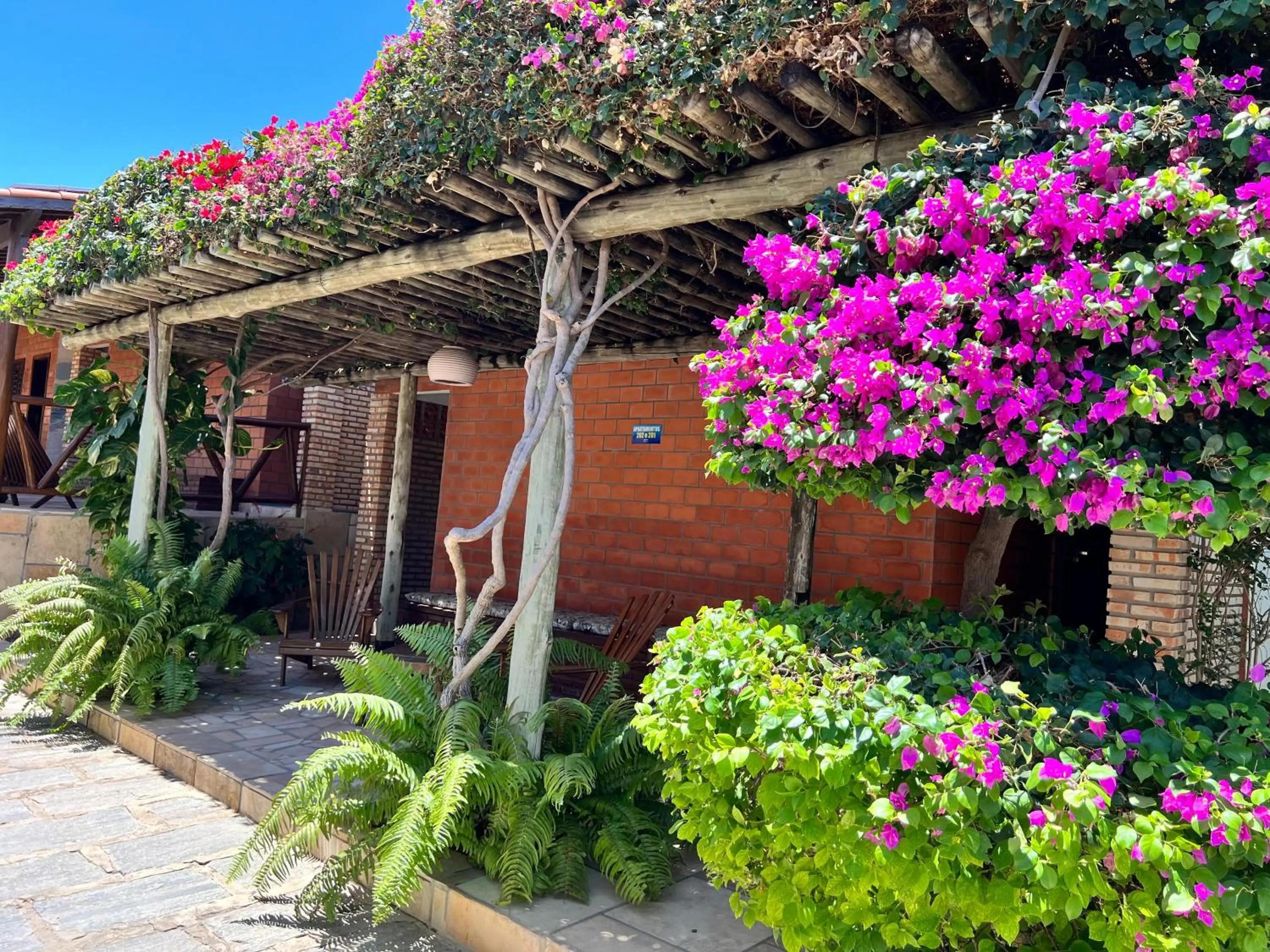 Garden in Jardim dos Orixás