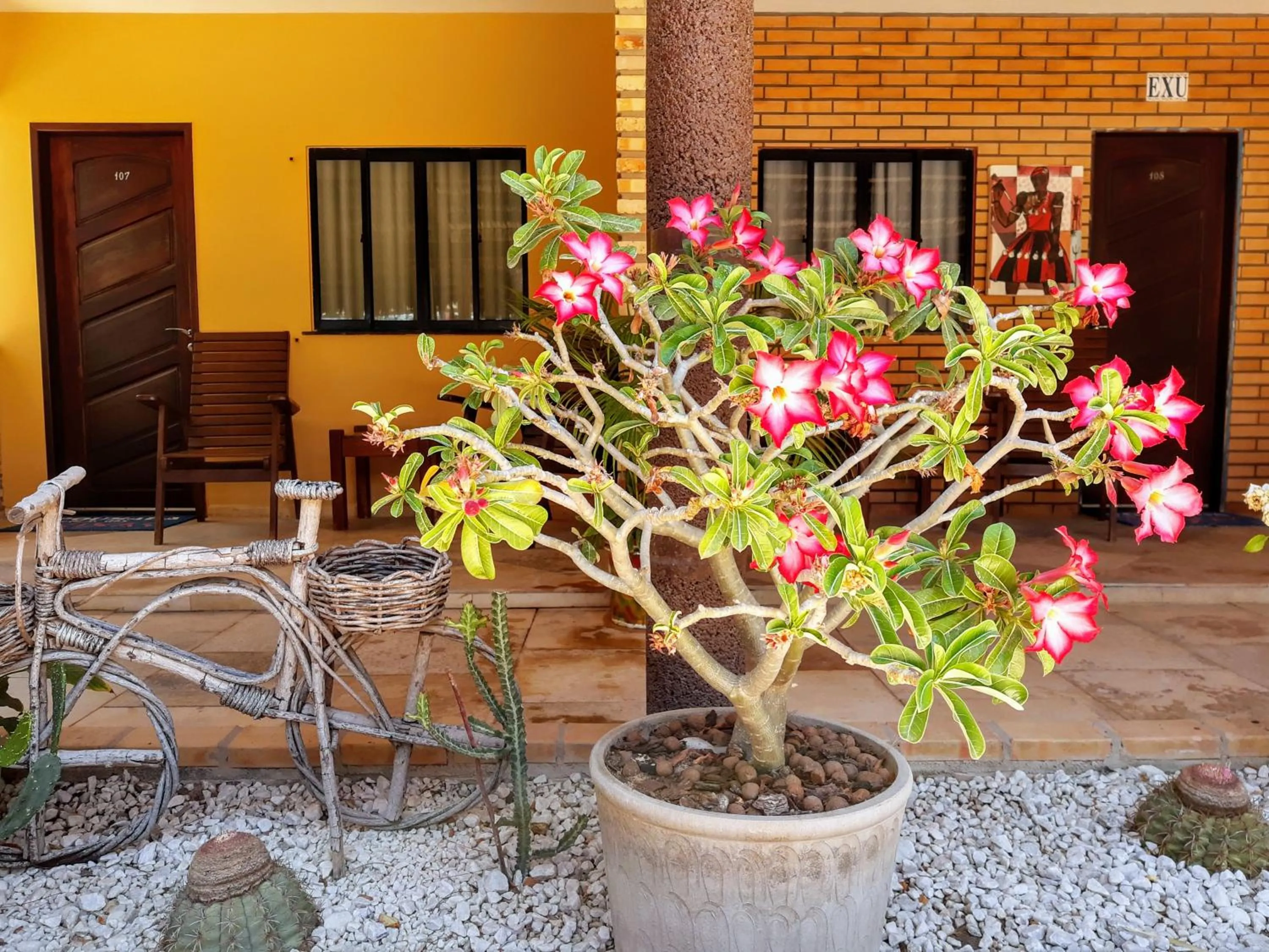 Garden view in Jardim dos Orixás