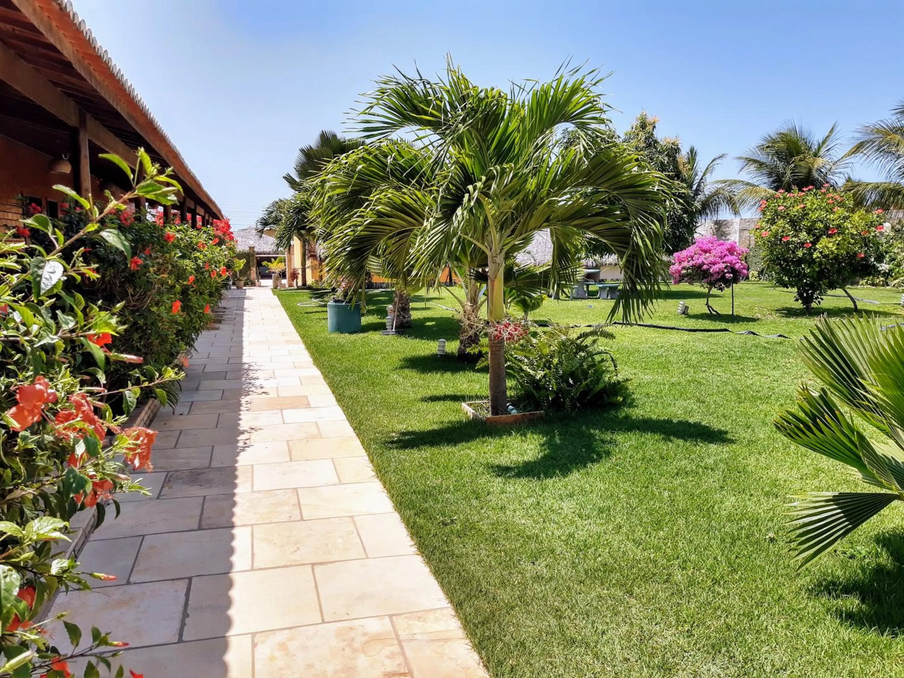 Garden view in Jardim dos Orixás