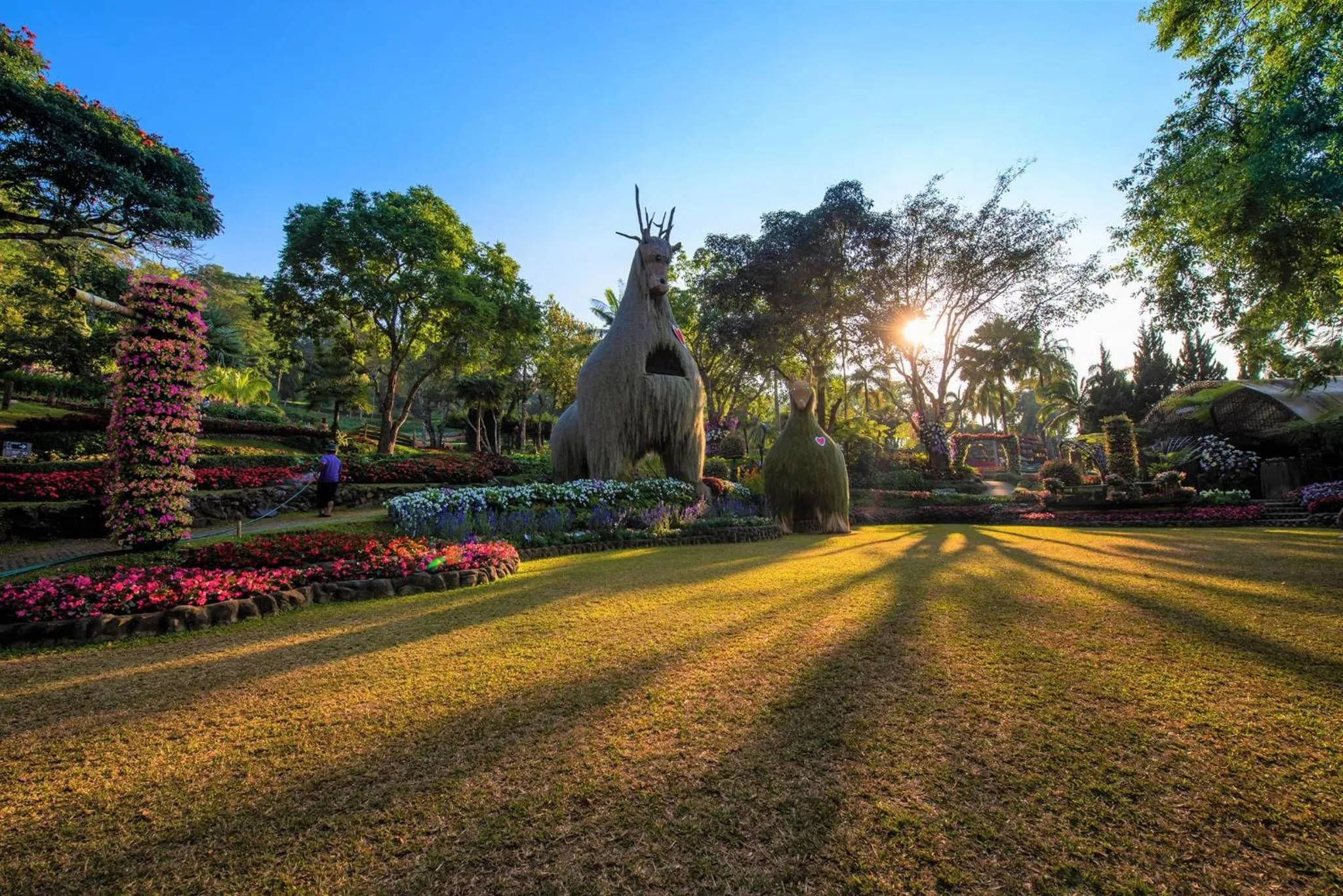 Neighbourhood in DoiTung Lodge