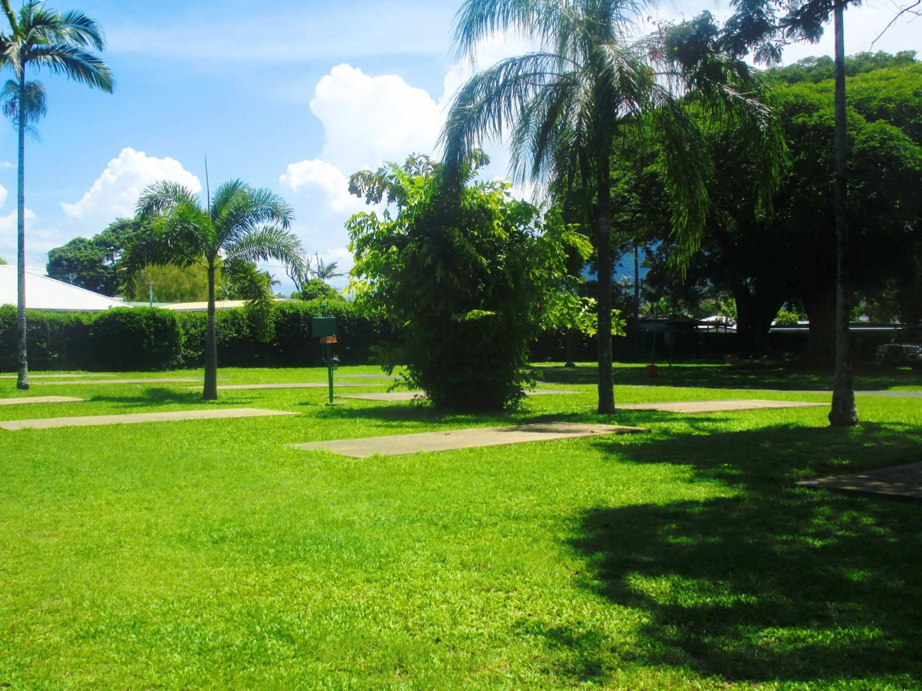 Garden in First City Caravilla