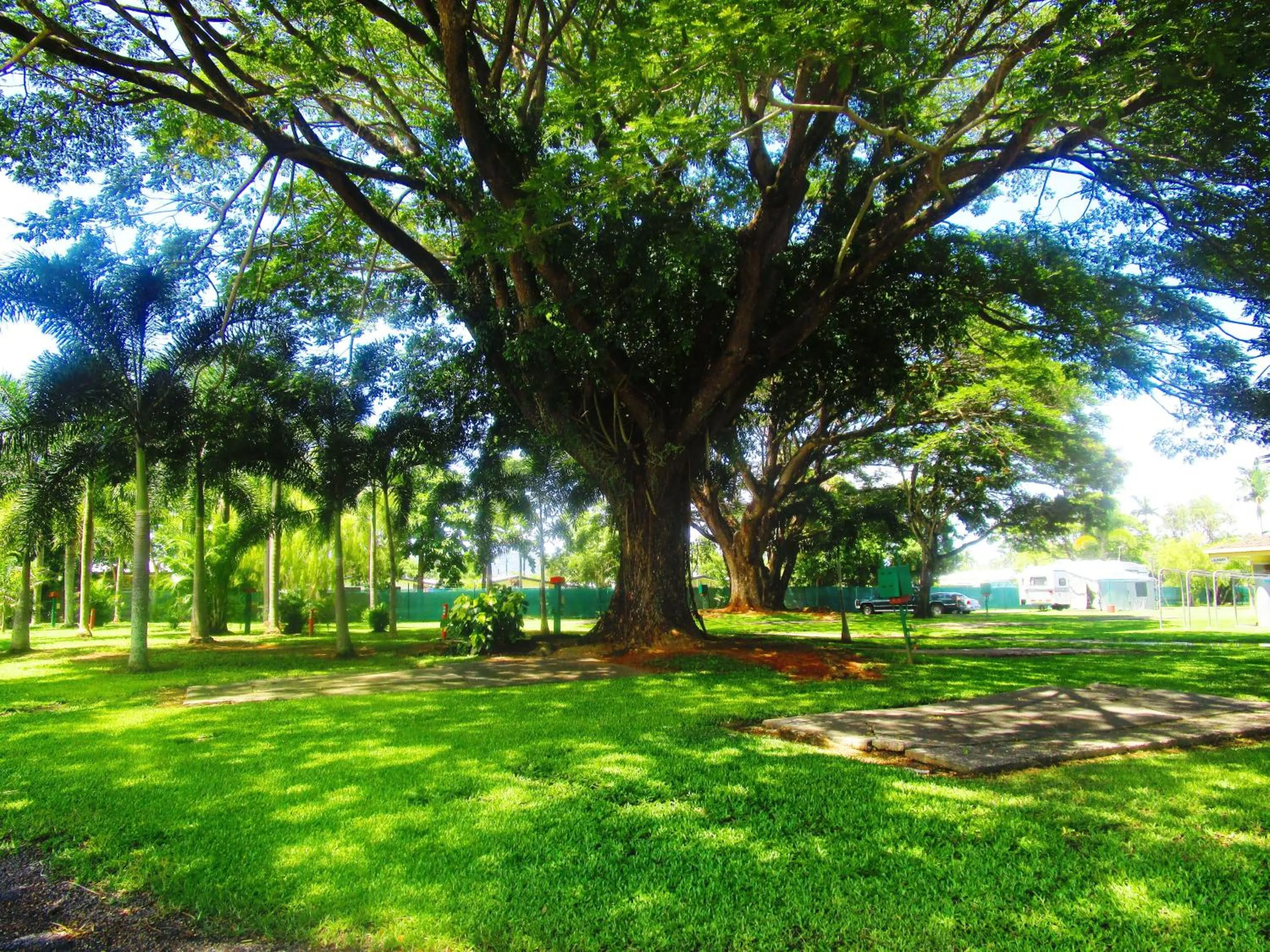 Garden in First City Caravilla