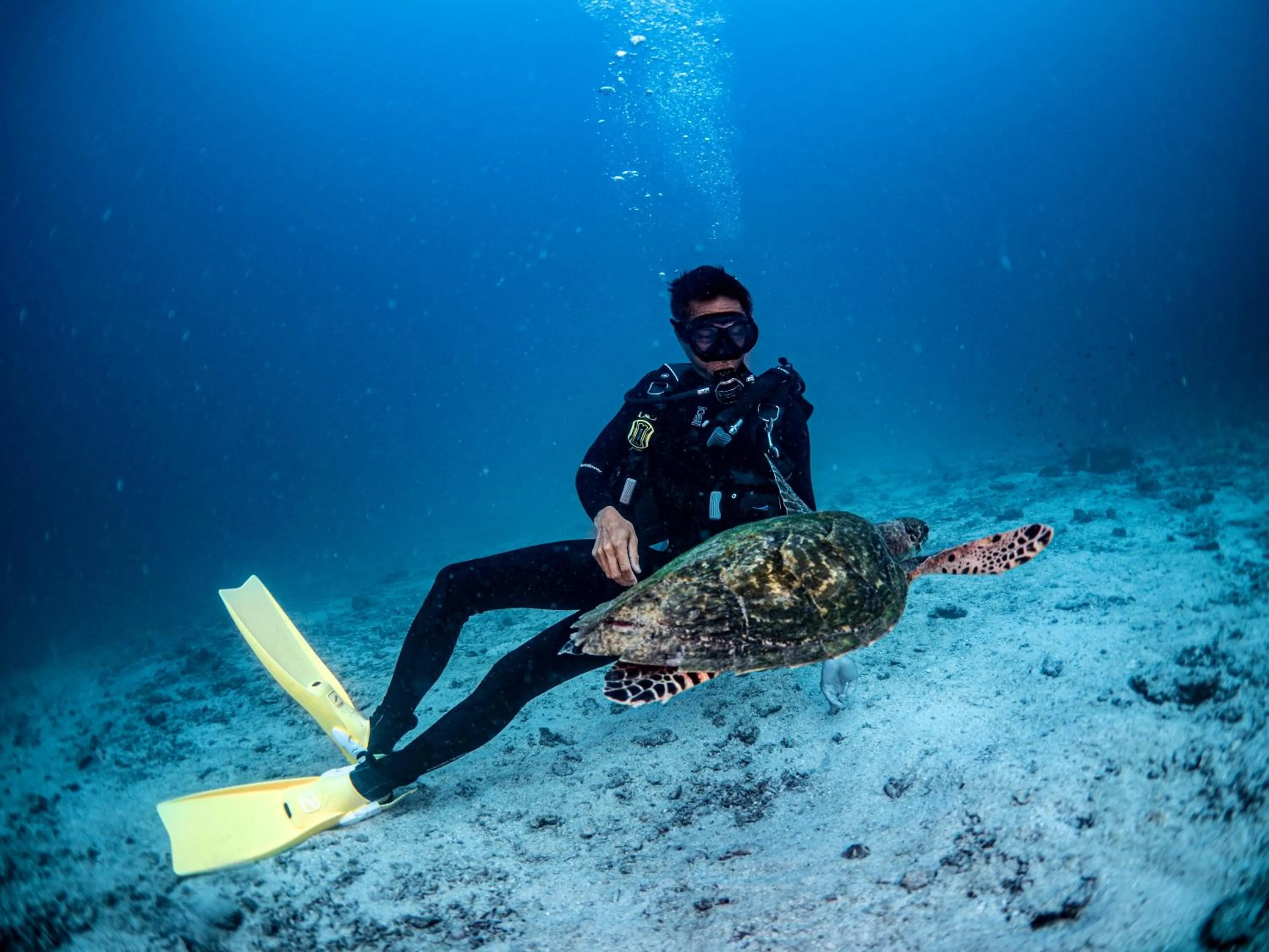 Diving in Ban's Diving Resort