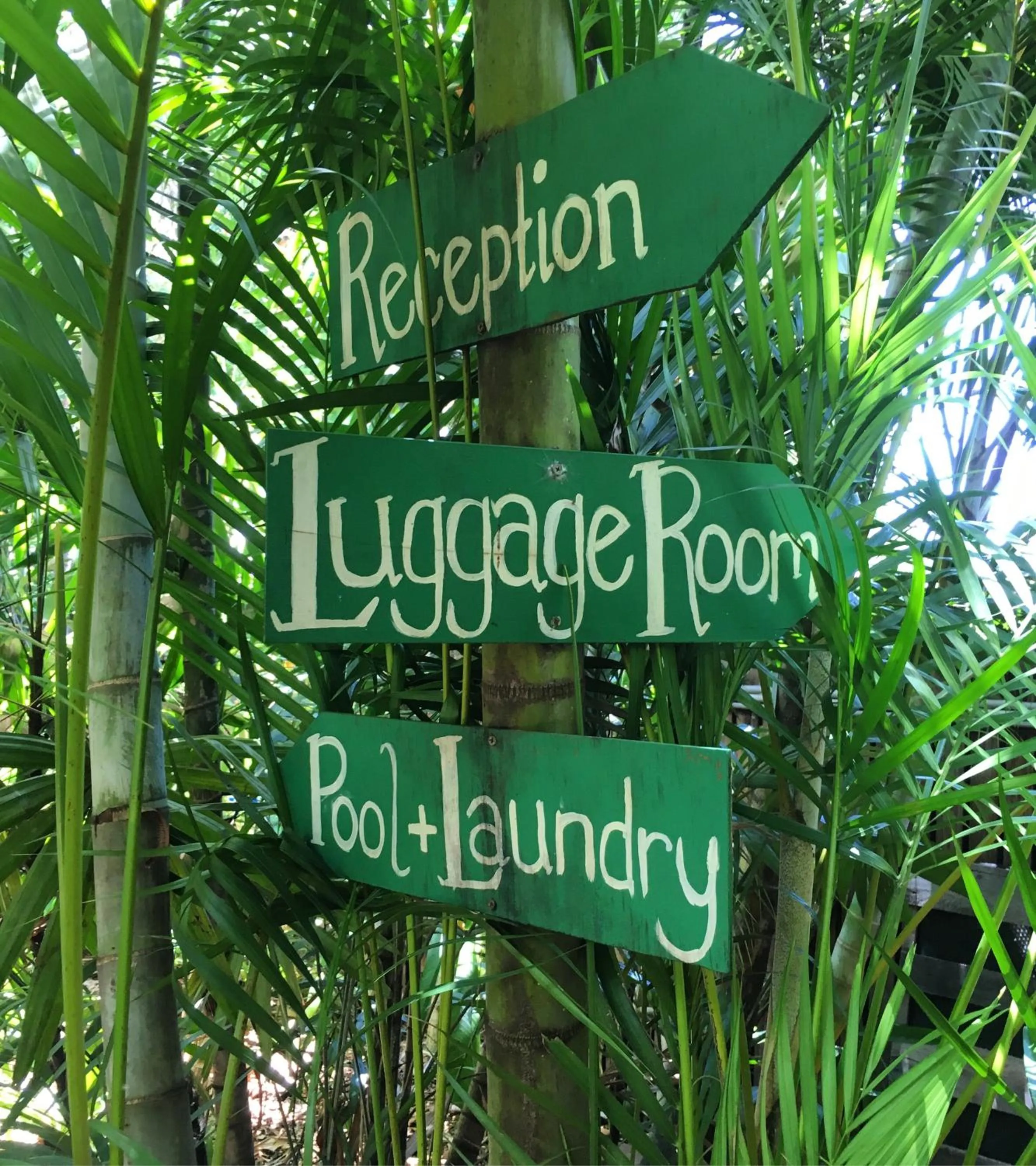 Logo/Certificate/Sign in Dreamtime Hostel