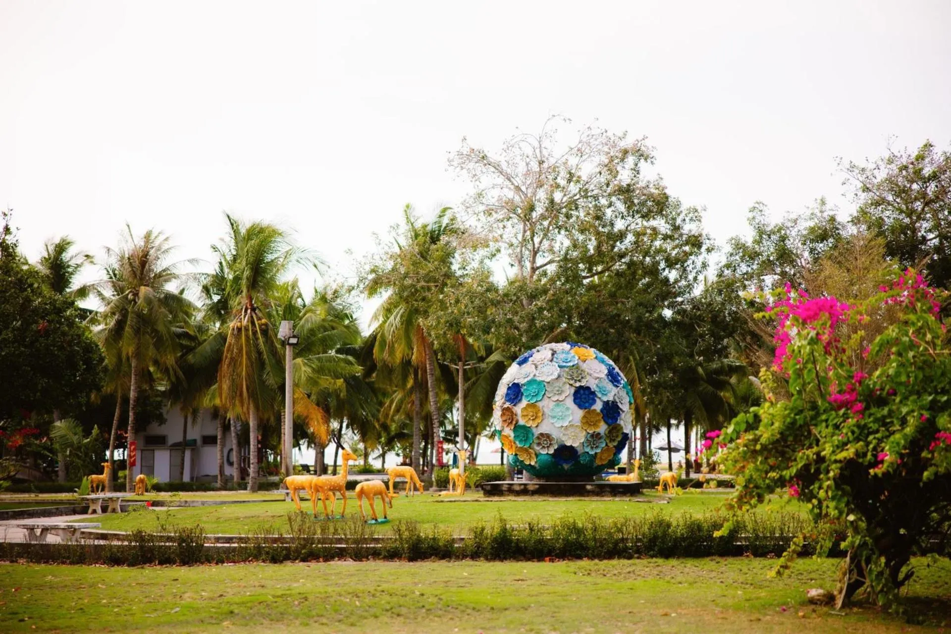 Natural landscape in Dat Lanh Beach Resort