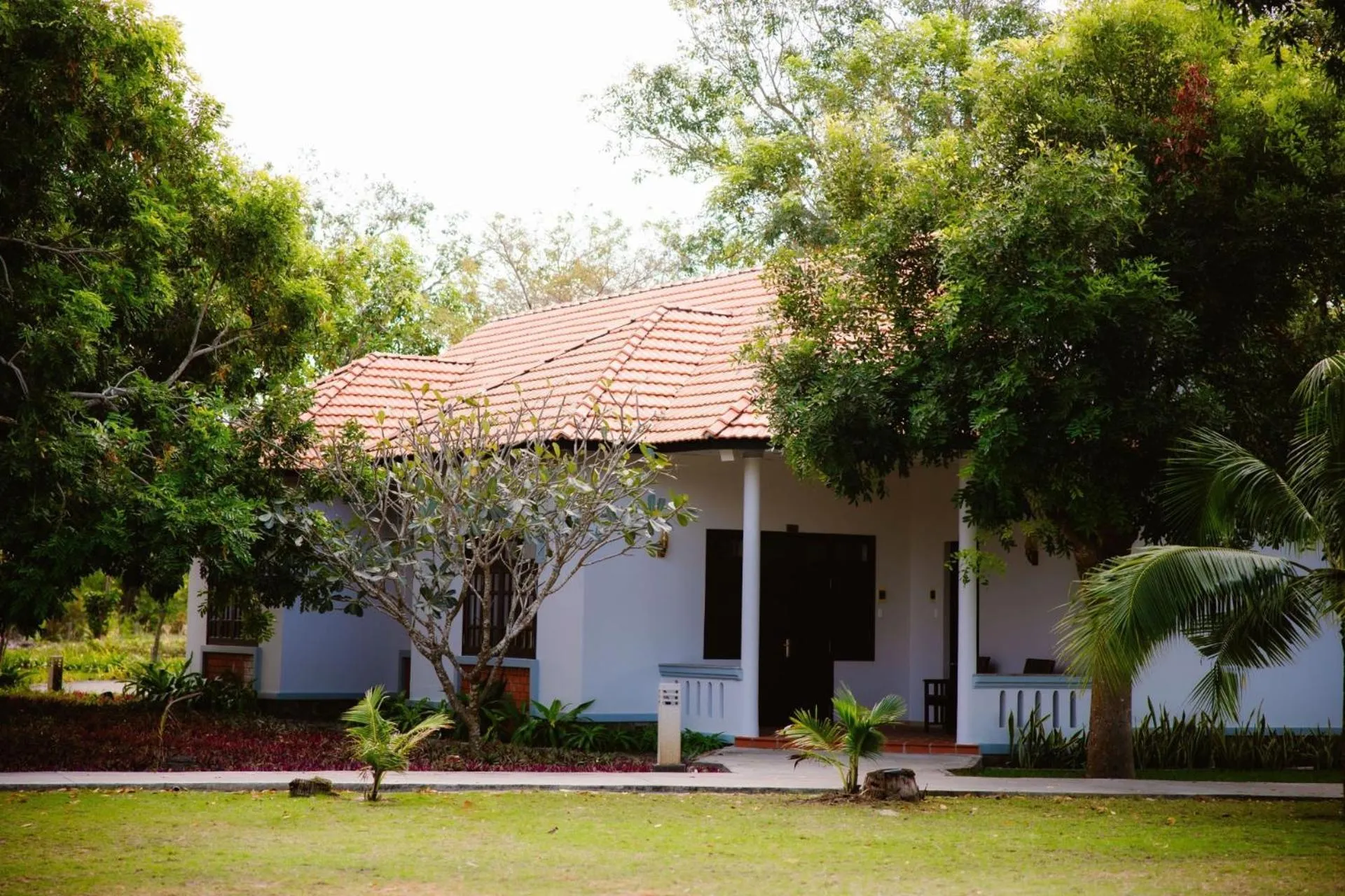 Natural landscape in Dat Lanh Beach Resort