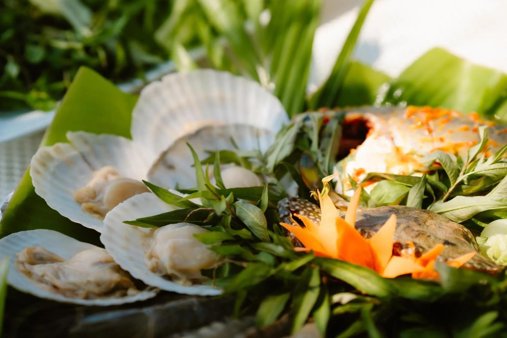 Food and drinks in Dat Lanh Beach Resort